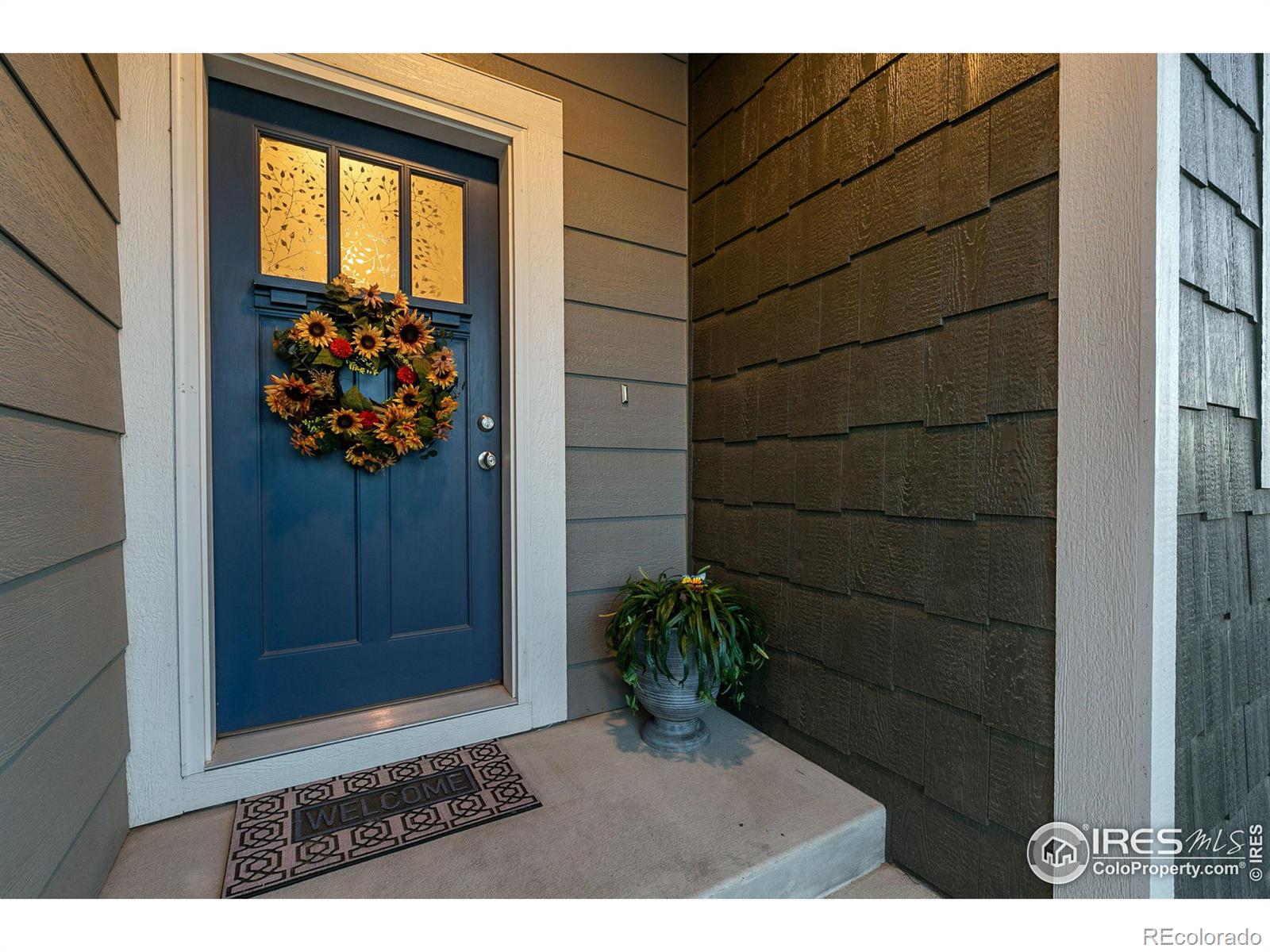 Report Image #1 for 3787  Beech Tree Street,Wellington, Colorado