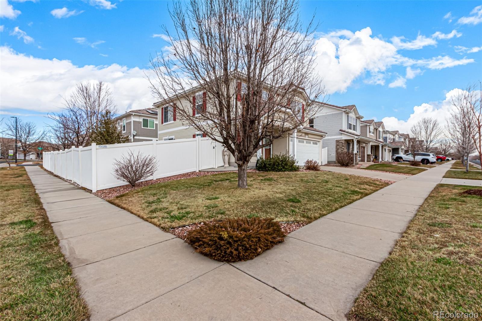 Report Image #1 for 19415  Robins Drive,Denver, Colorado