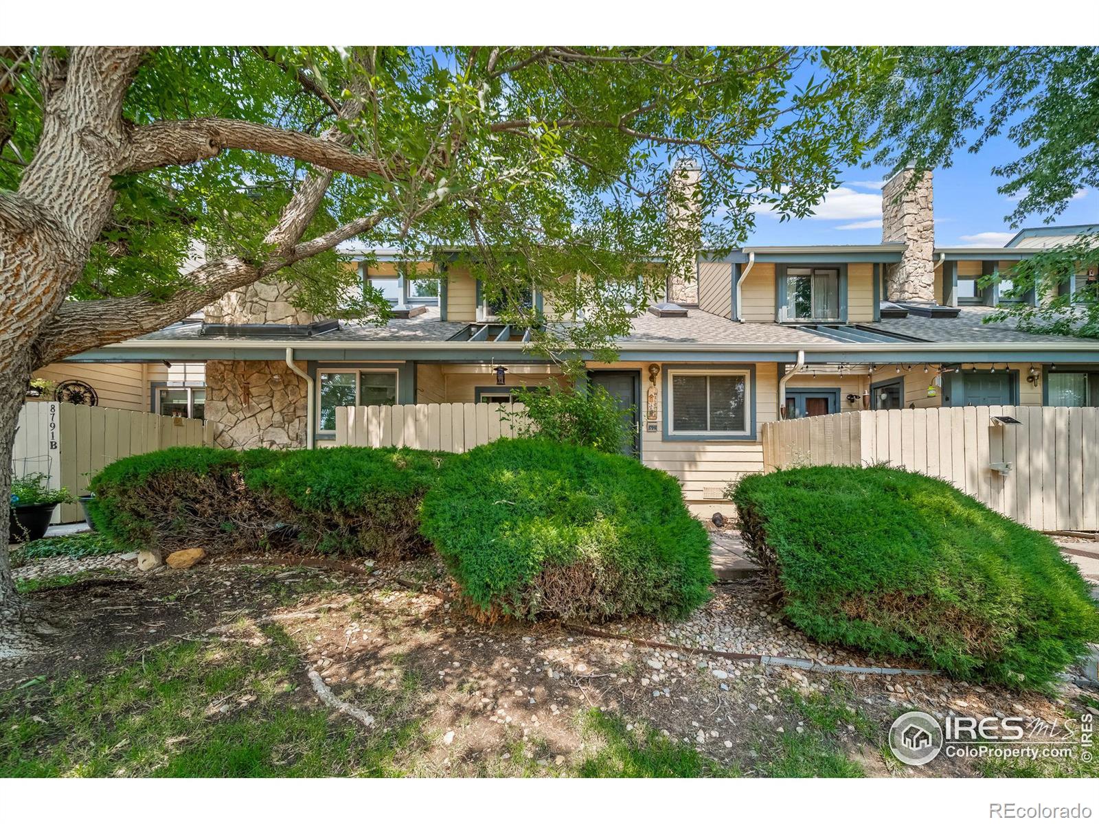 Report Image #1 for 8791  Allison Drive,Arvada, Colorado