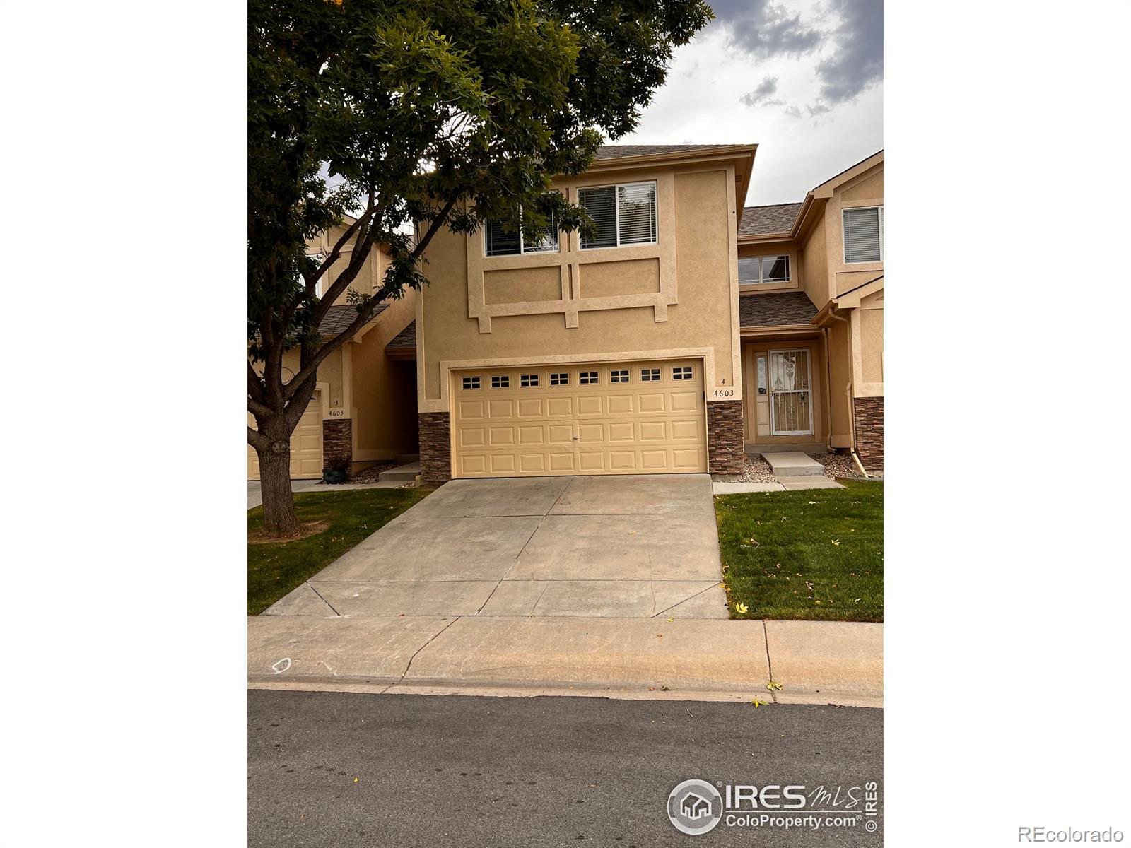 Report Image #1 for 4603  Dusty Sage Court,Fort Collins, Colorado