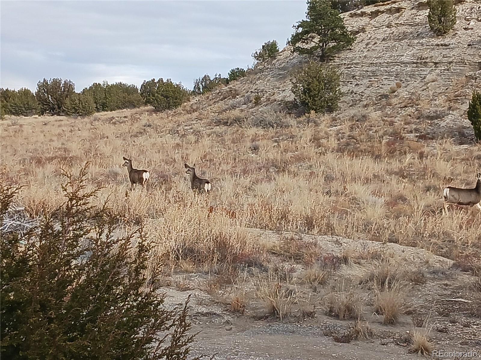 Report Image #1 for 4474  Burnt Mill Road,Pueblo, Colorado
