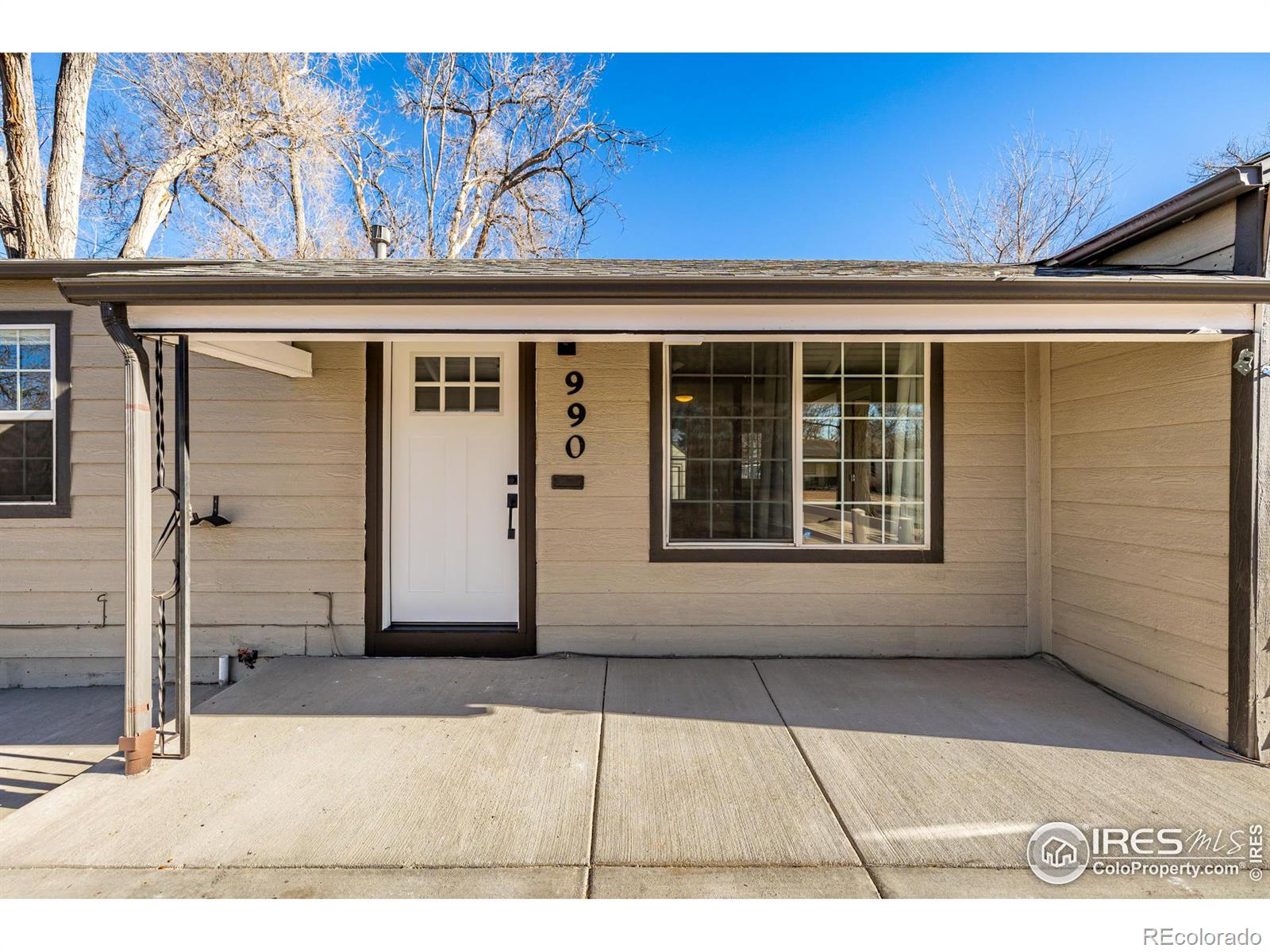 Report Image #1 for 990  Hazel Court,Denver, Colorado