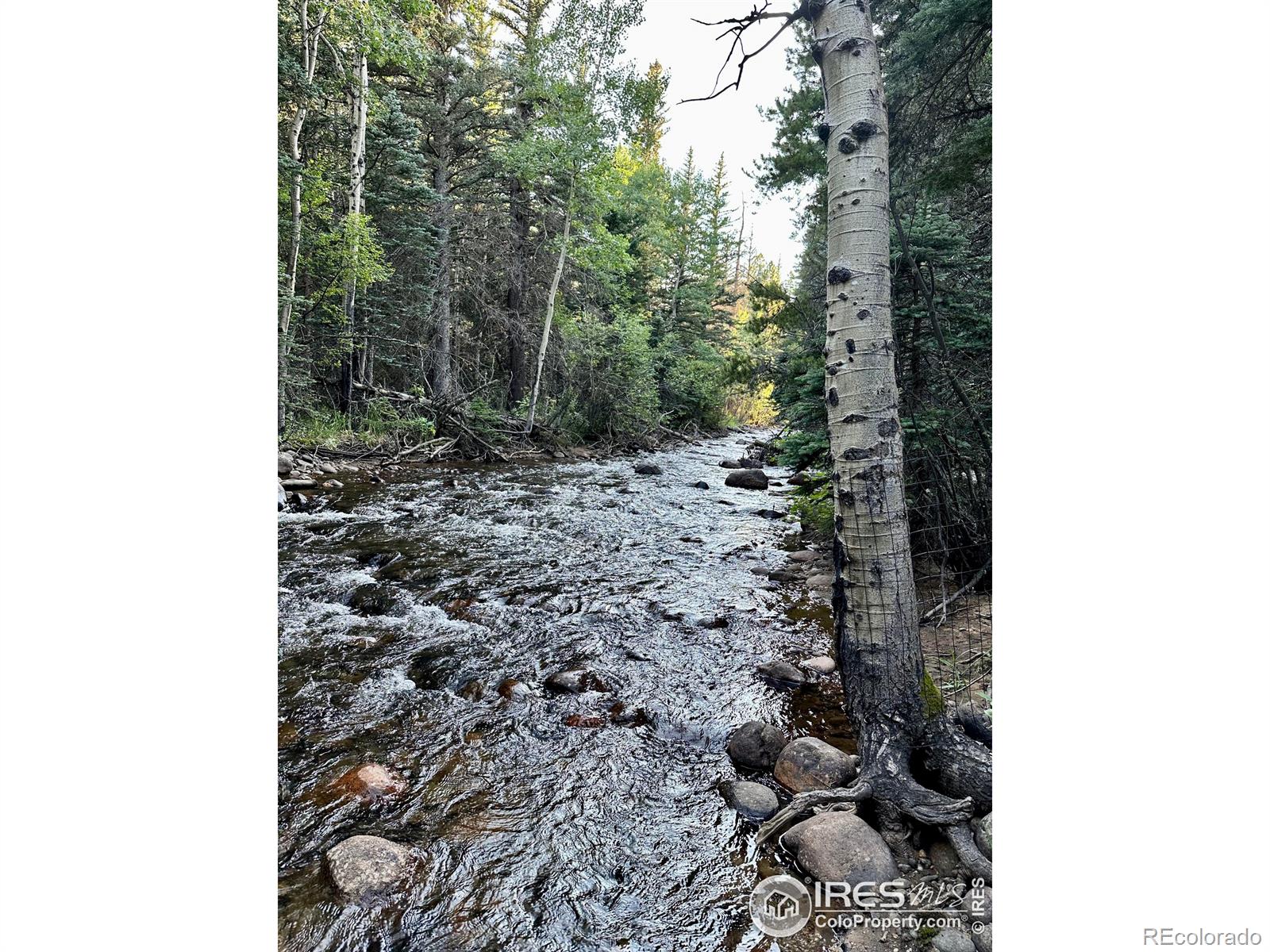 Report Image #1 for    ,, Colorado