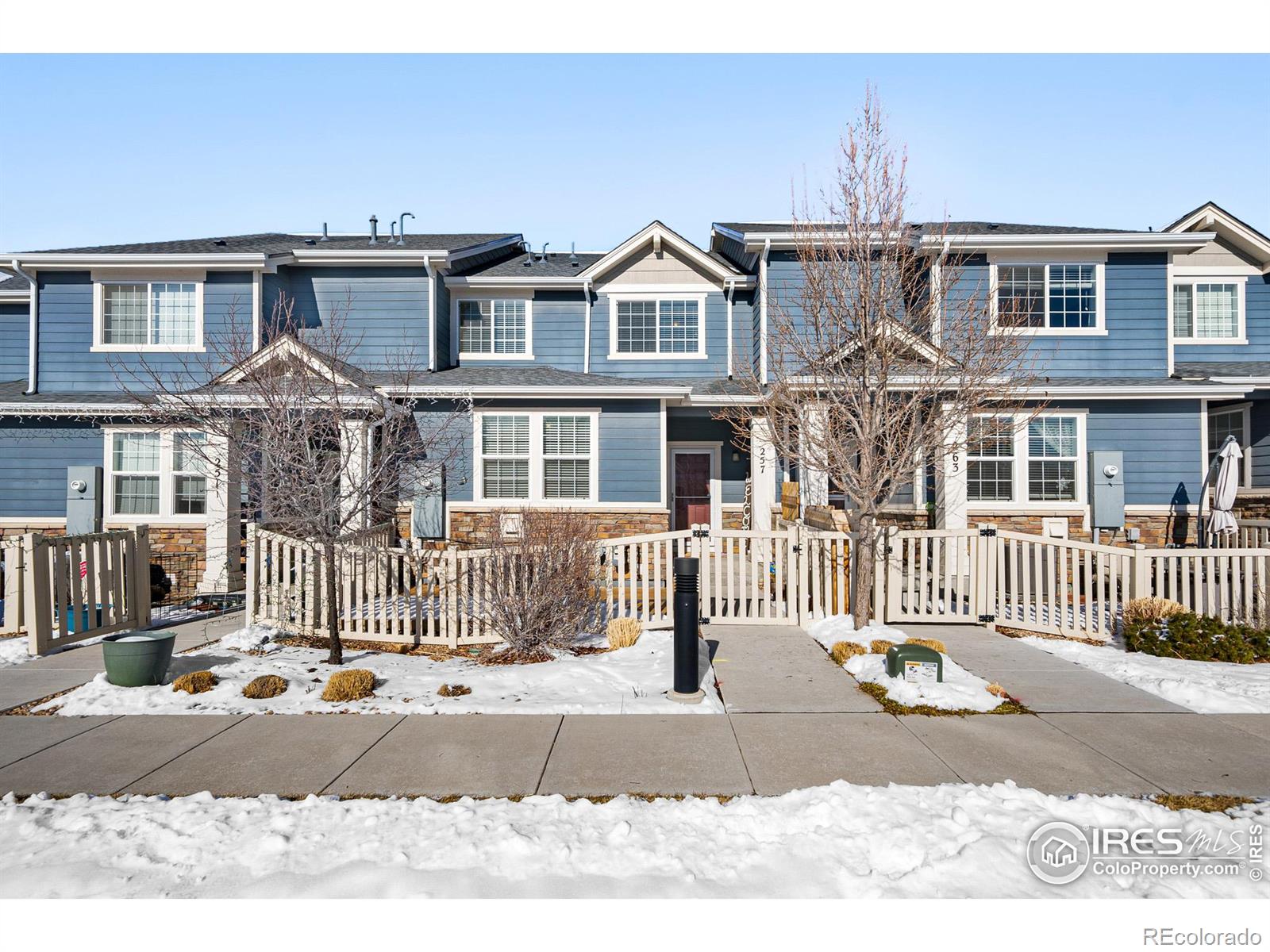 Report Image #1 for 257  Jackson Drive,Erie, Colorado