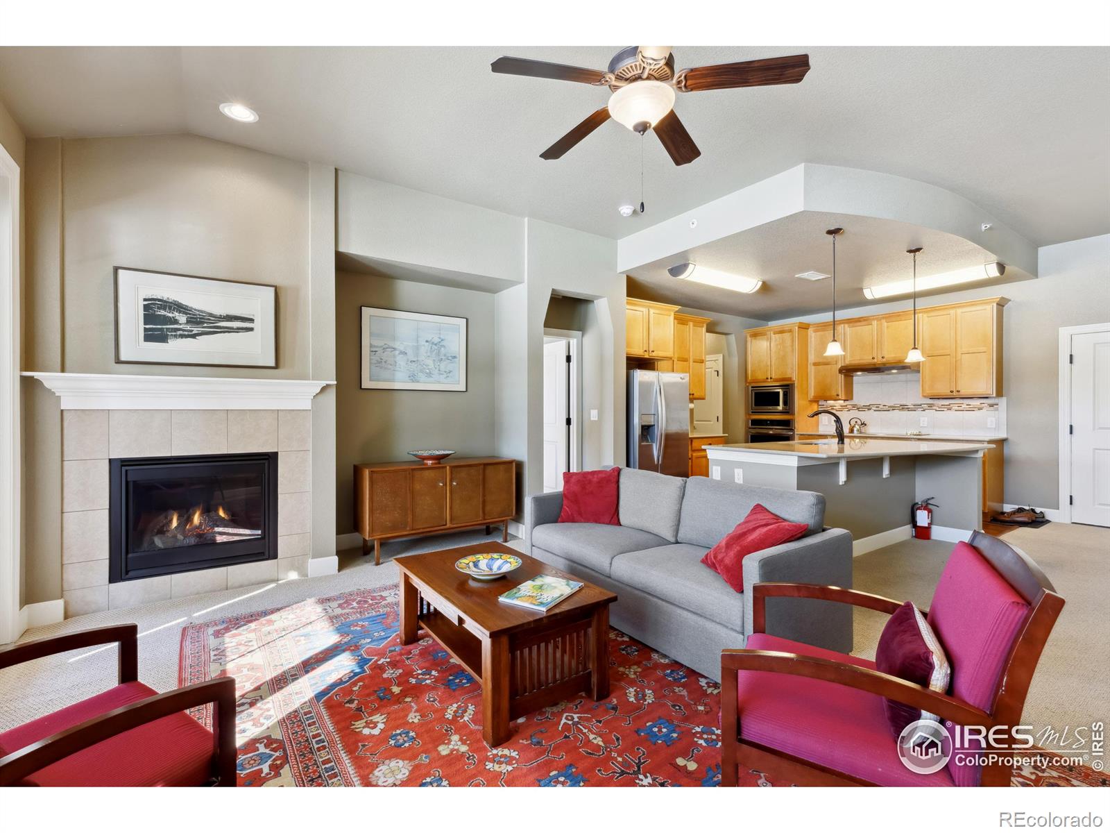 Report Image #1 for 1379  Charles Drive,Longmont, Colorado