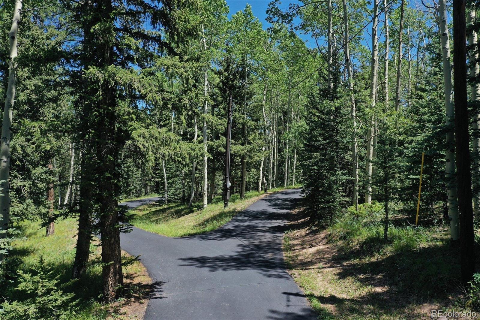 Report Image #1 for 284  County Road 511 Road,Divide, Colorado