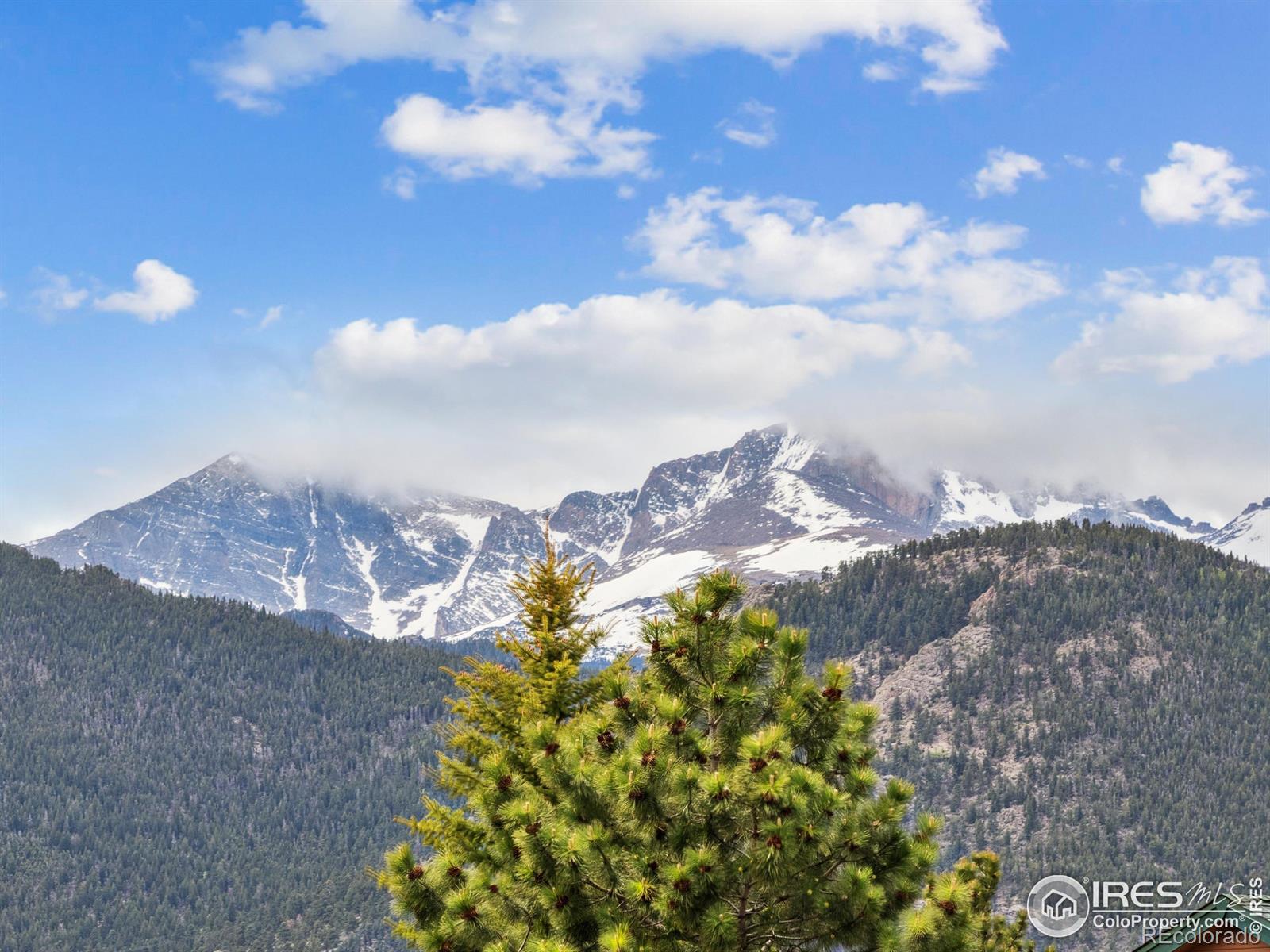 Report Image #1 for 321  Big Horn Drive,Estes Park, Colorado