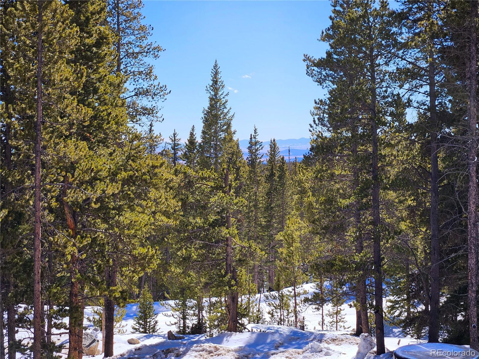 Report Image #1 for 407  Puma Place,Fairplay, Colorado