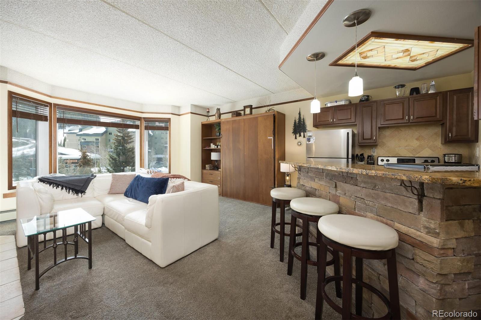 Report Image #1 for 45  Beeler Place,Frisco, Colorado
