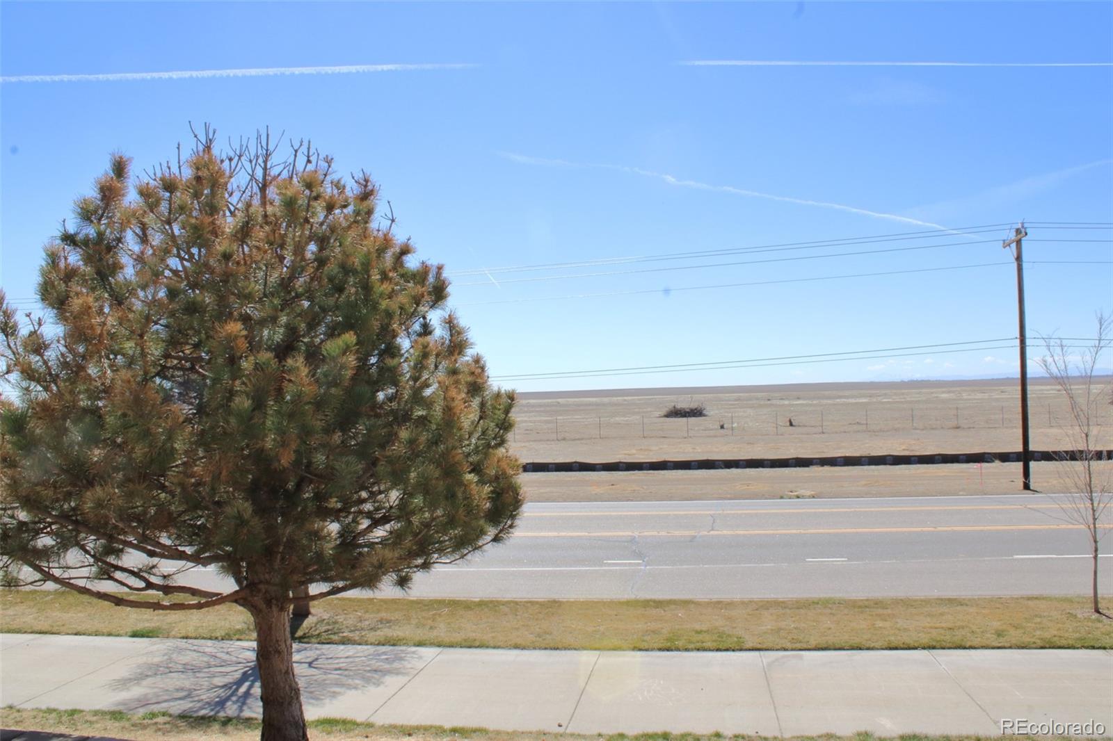 Report Image #1 for 15612 E 96th Way,Commerce City, Colorado