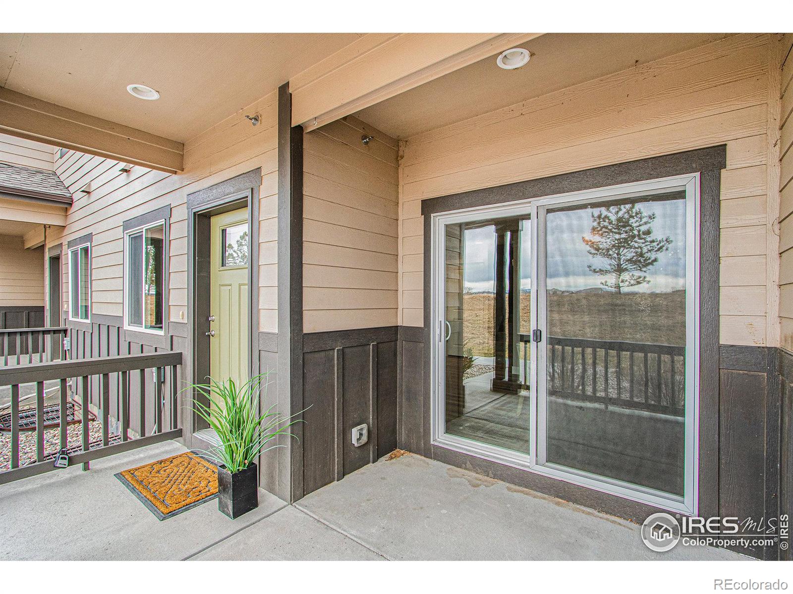 Report Image #1 for 4115  Crittenton Lane,Wellington, Colorado