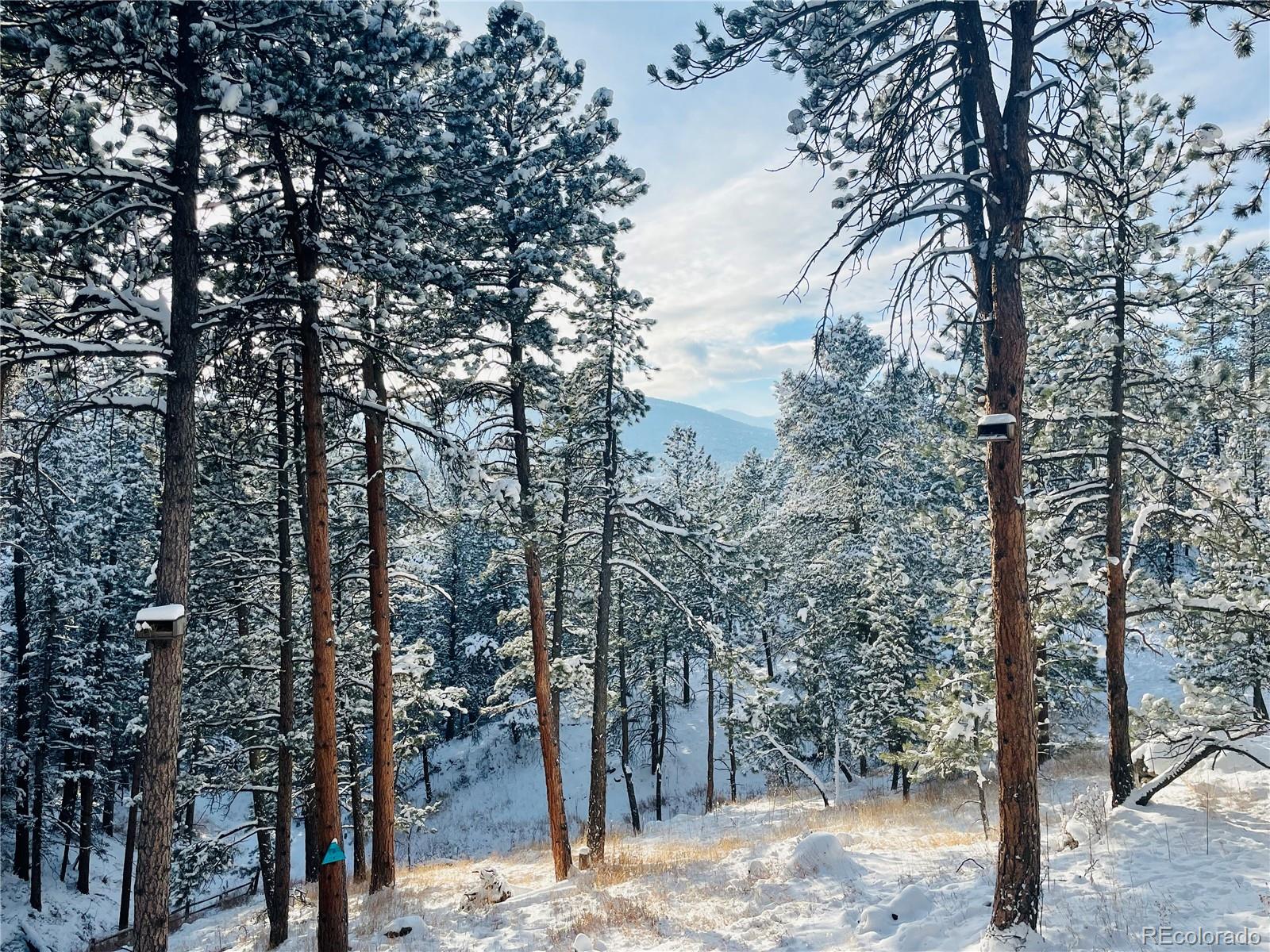 Report Image #1 for 4786  Forest Hill Road,Evergreen, Colorado