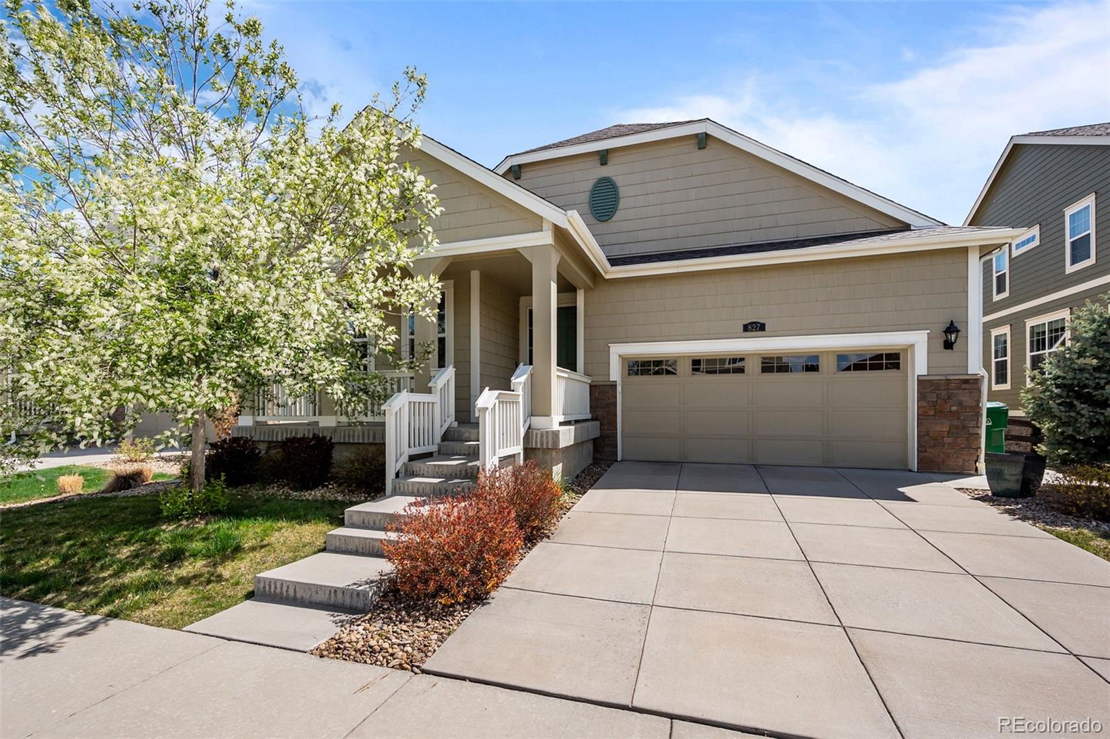 Report Image #1 for 827  Sundance Lane,Erie, Colorado