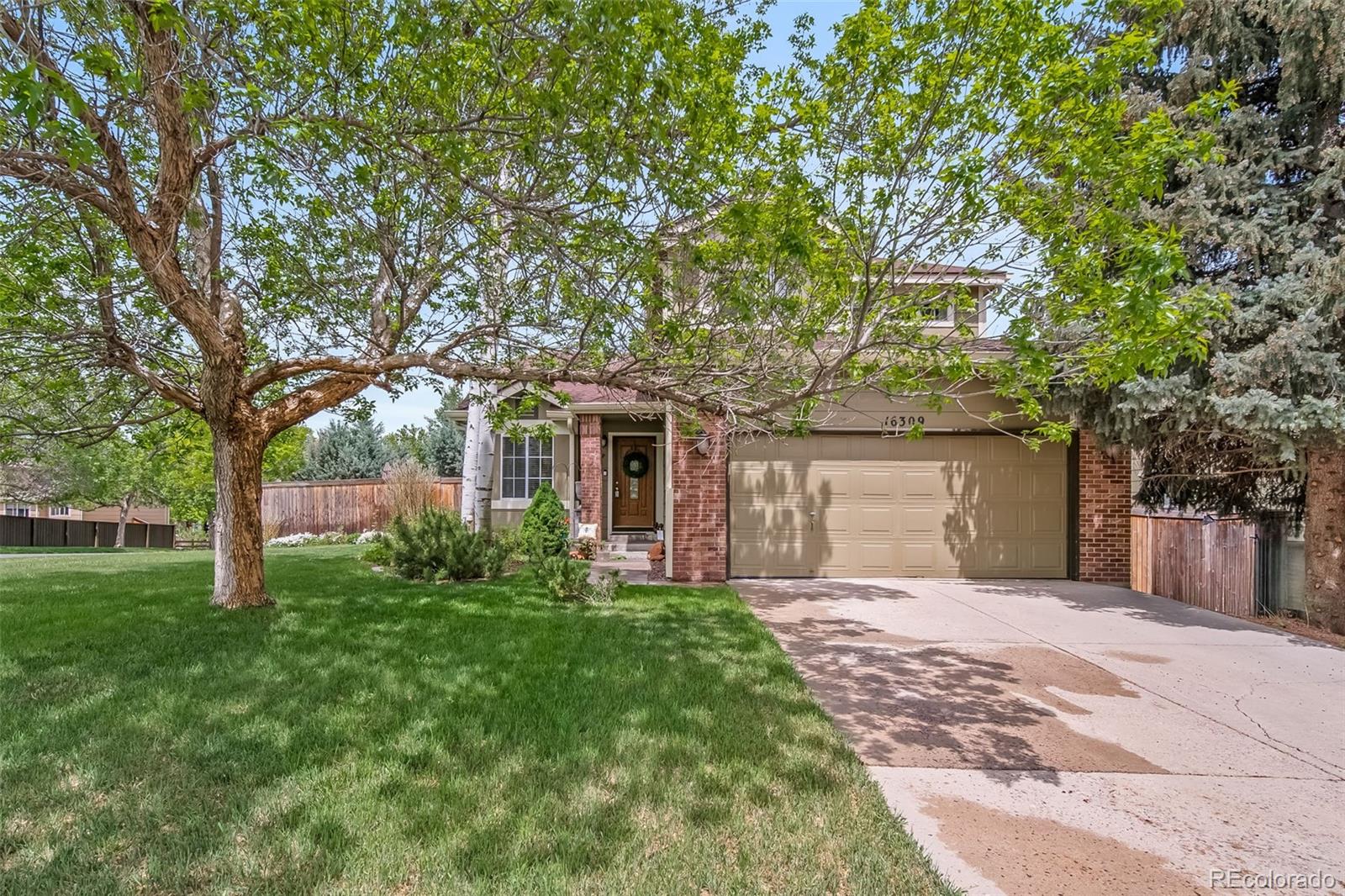 Report Image #1 for 16309  Hedgeway Drive,Parker, Colorado