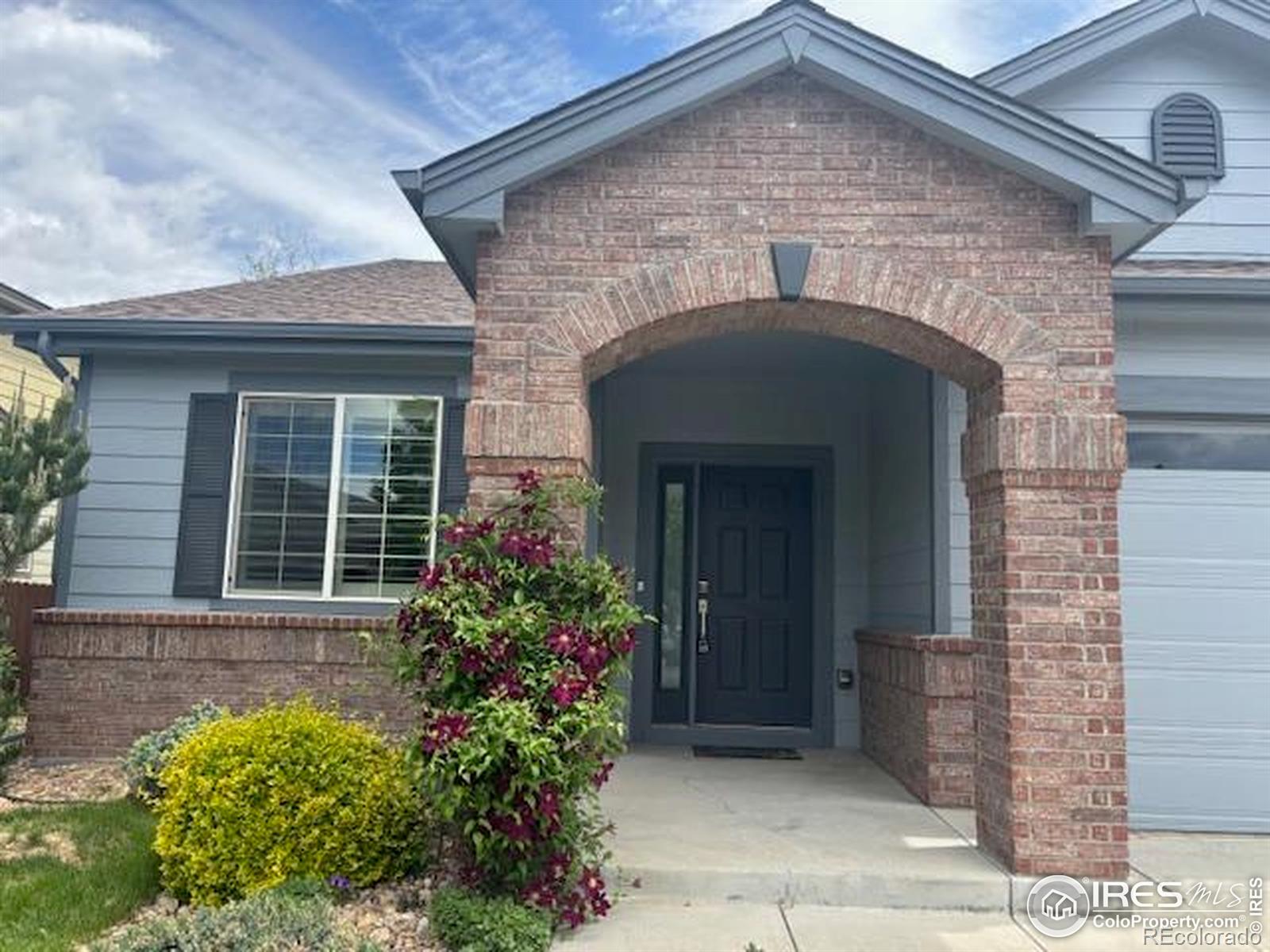 Report Image #1 for 5768  Quarry Street,Timnath, Colorado