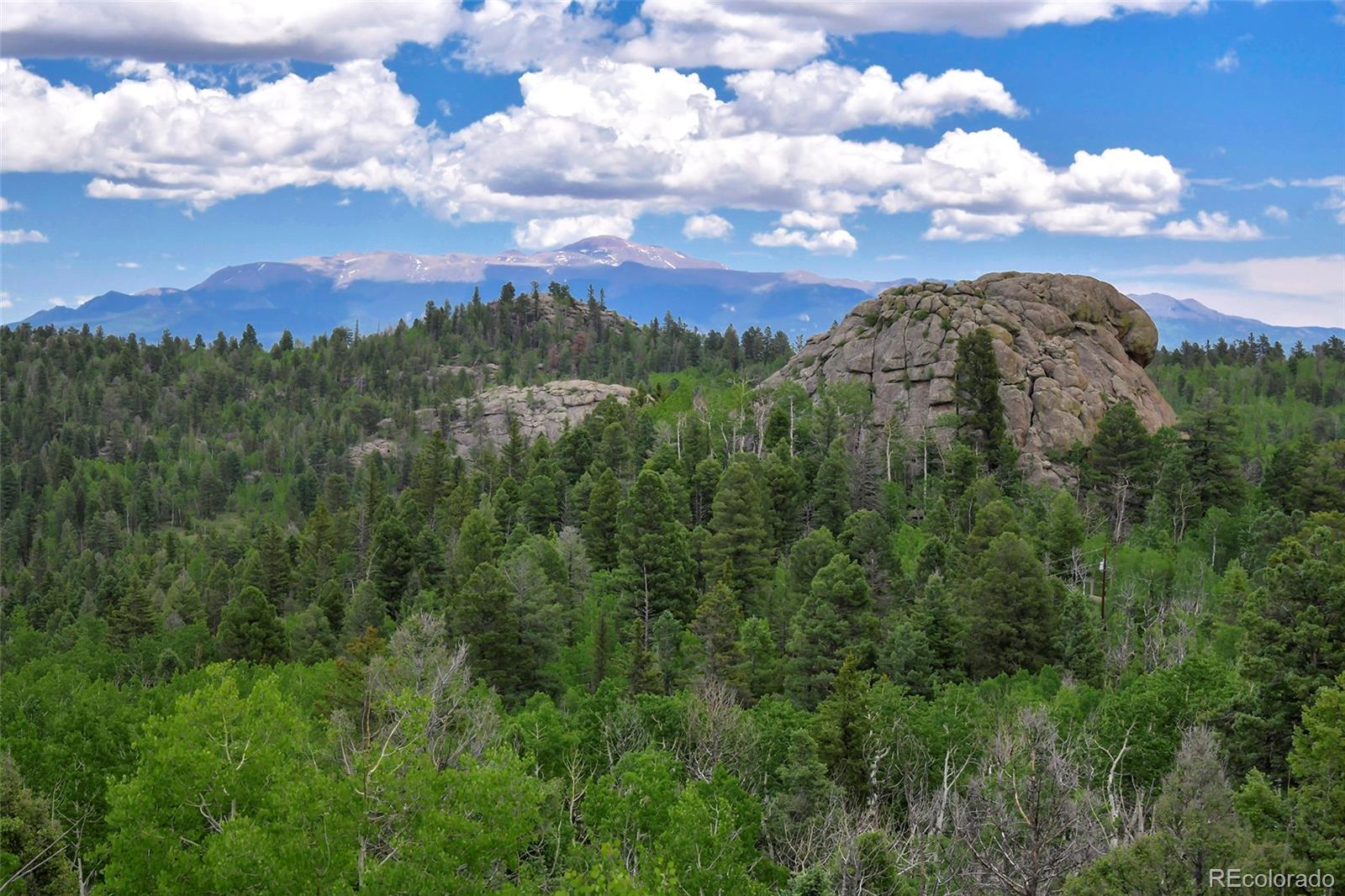 Report Image #1 for 290  Eagle Rock Road,Florissant, Colorado