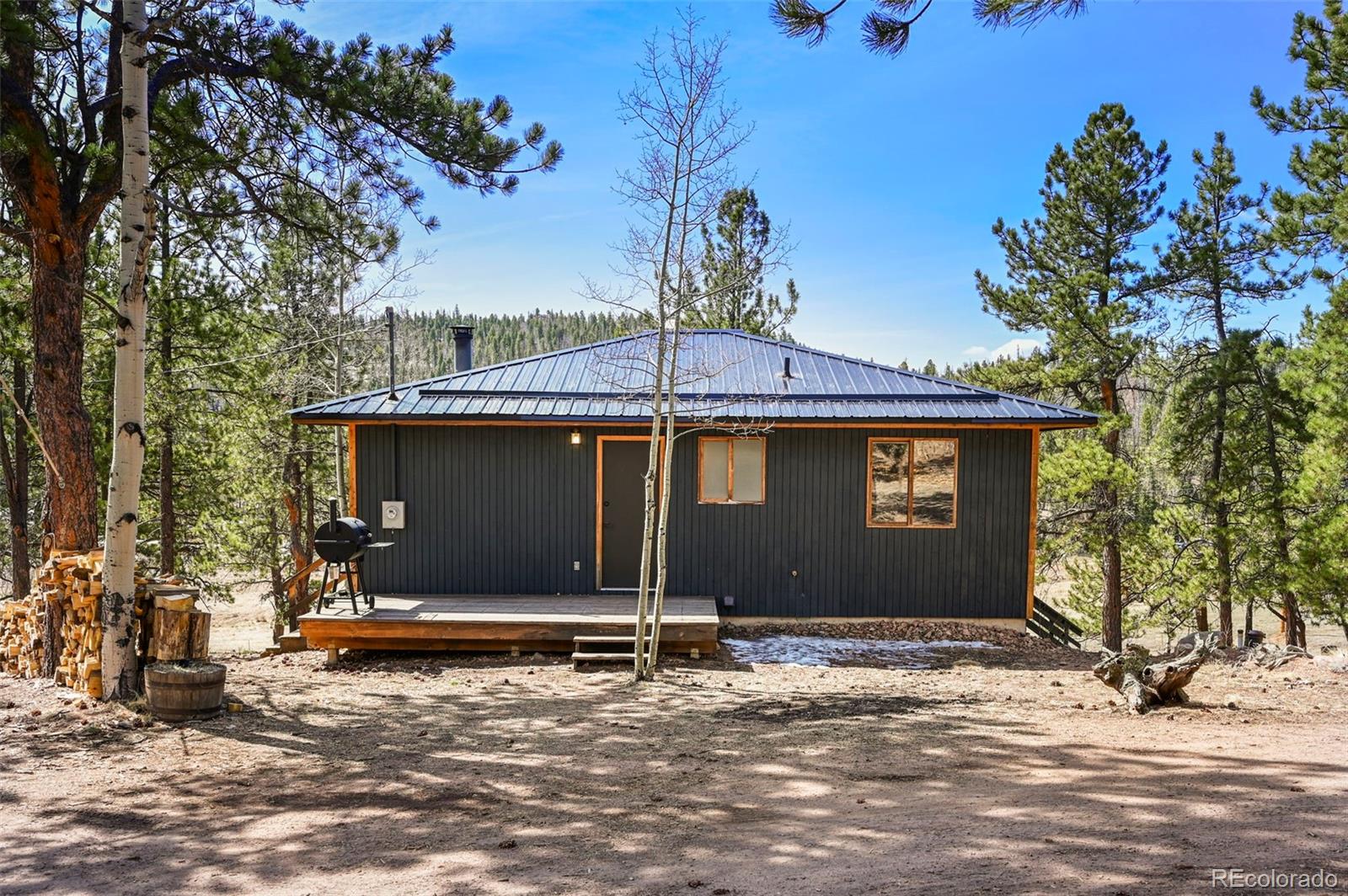 Report Image #1 for 29  Deerfield Lane,Florissant, Colorado