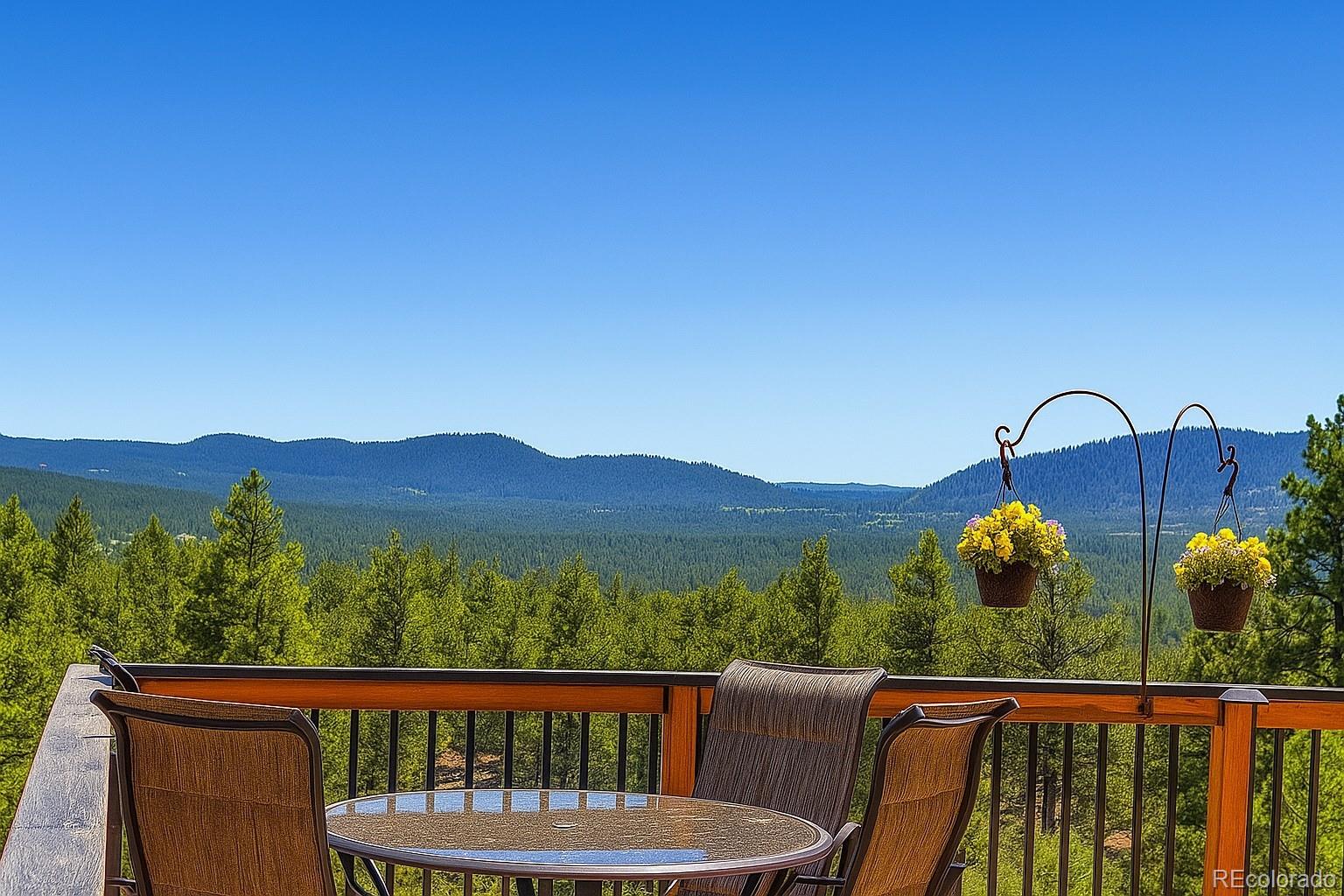 Report Image #1 for 133  Lake Drive,Florissant, Colorado