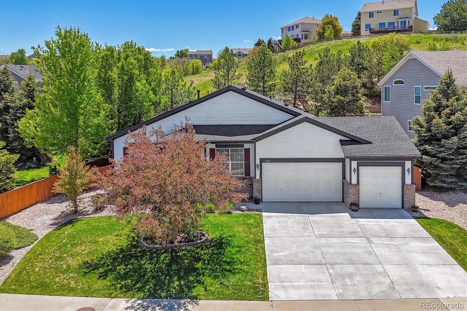 Report Image #1 for 1488  Baguette Drive,Castle Rock, Colorado