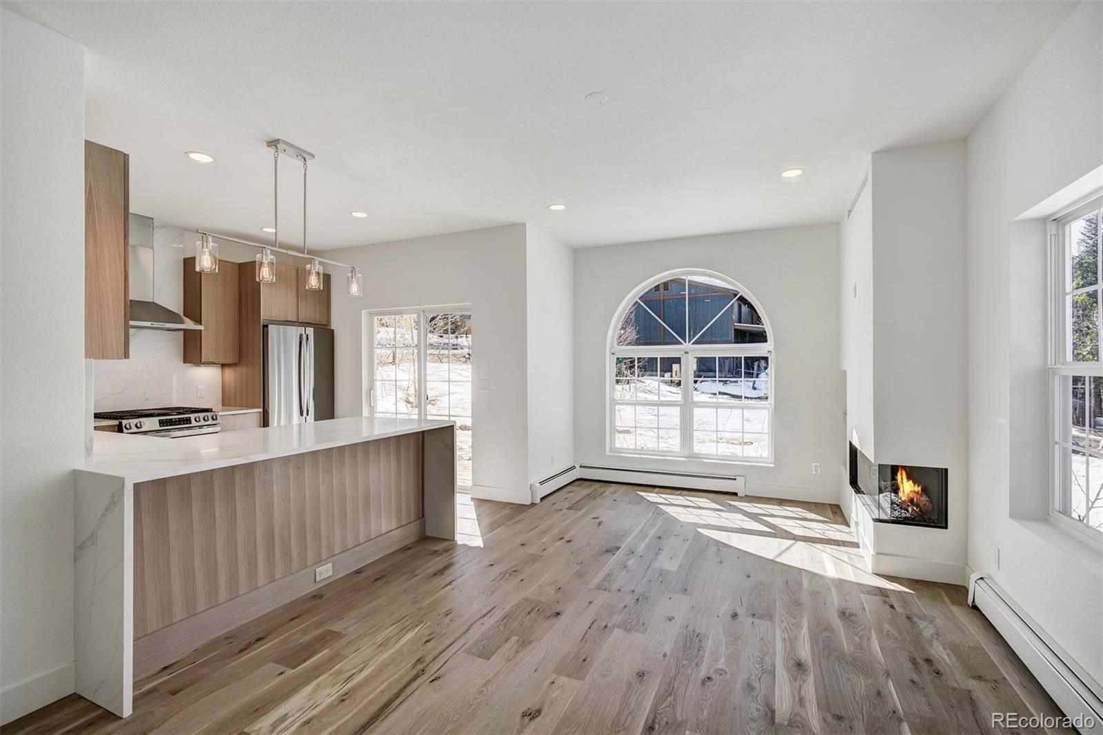 Report Image #1 for 22  North Side Circle,Silverthorne, Colorado
