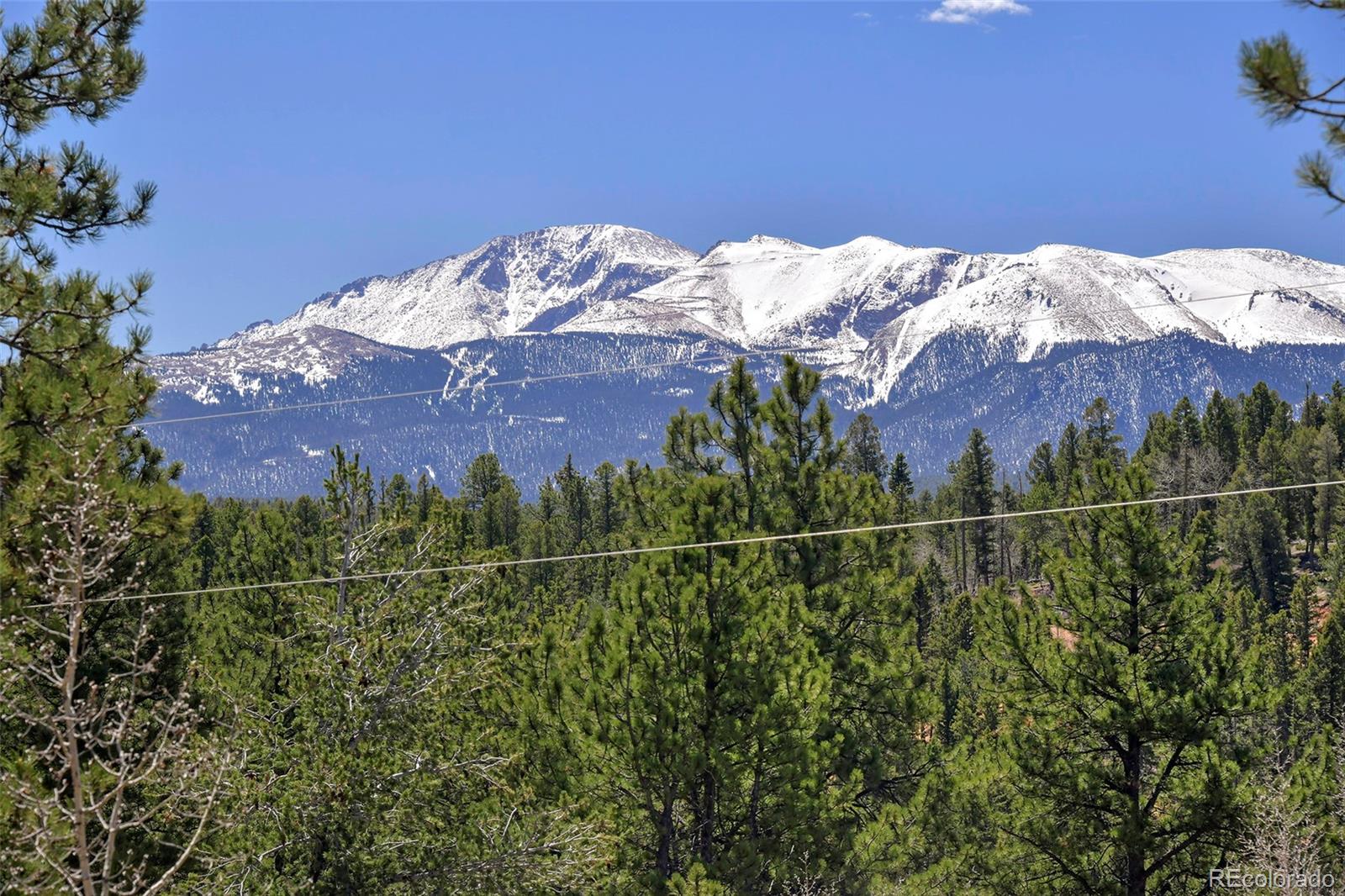 Report Image #1 for 12  Heather Circle,Divide, Colorado