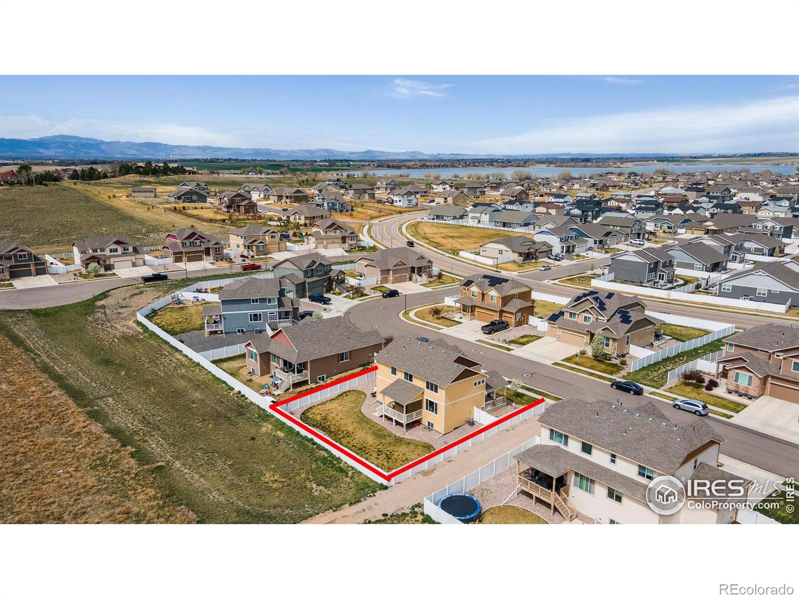 Report Image #1 for 1317  Chamois Drive,Severance, Colorado