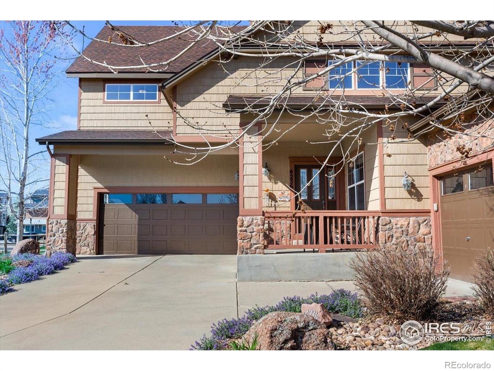 Report Image #1 for 4236  Frederick Circle,Longmont, Colorado