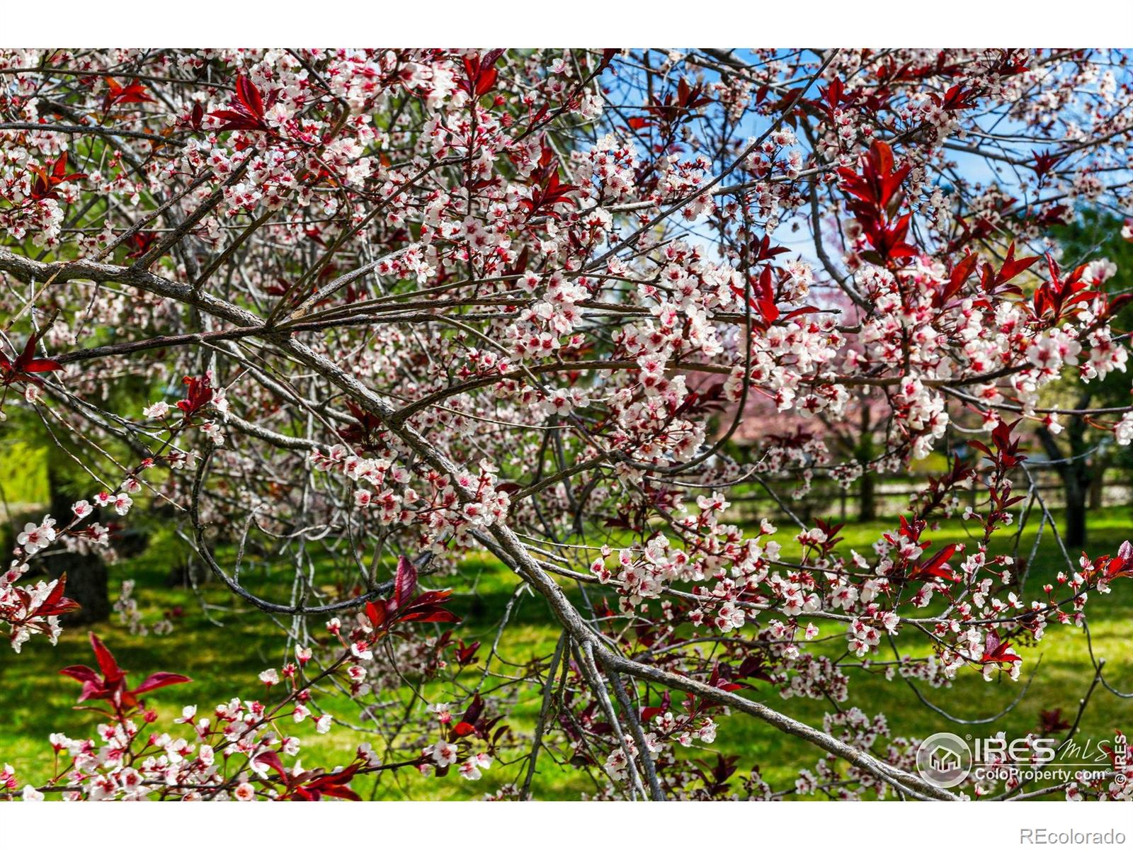 Report Image #1 for 182  Ridge Road,Boulder, Colorado