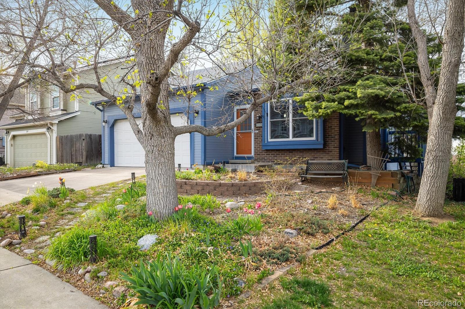 Report Image #1 for 247  Regal Street,Louisville, Colorado