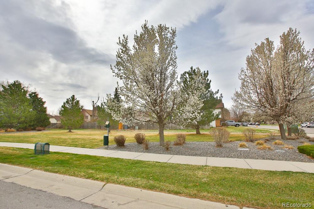 Report Image #1 for 18709 E 47th Drive,Denver, Colorado
