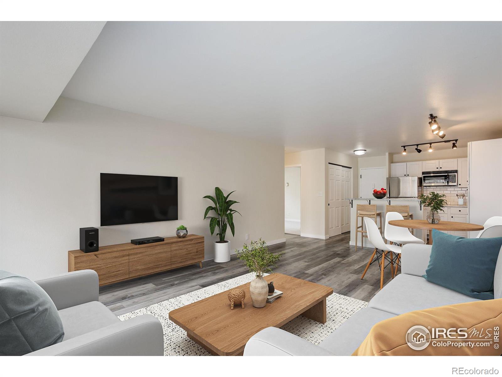 Report Image #1 for 1121  Albion Street,Denver, Colorado