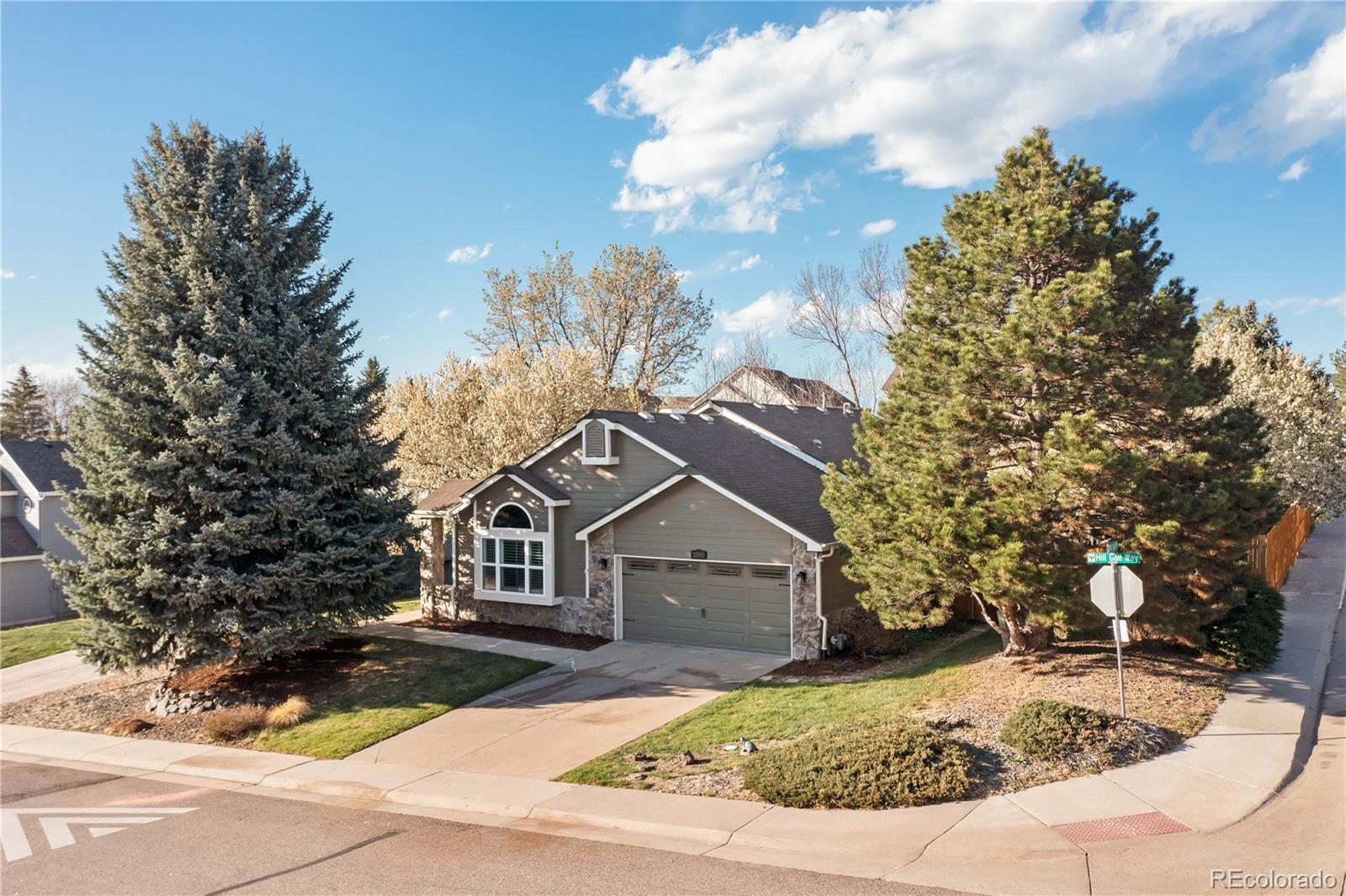 Report Image #1 for 21593  Hill Gail Way,Parker, Colorado