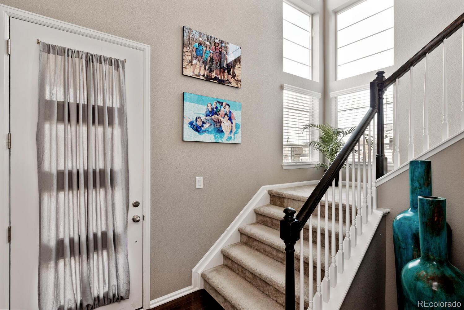 Report Image #1 for 2636  Scoter Lane,Castle Rock, Colorado