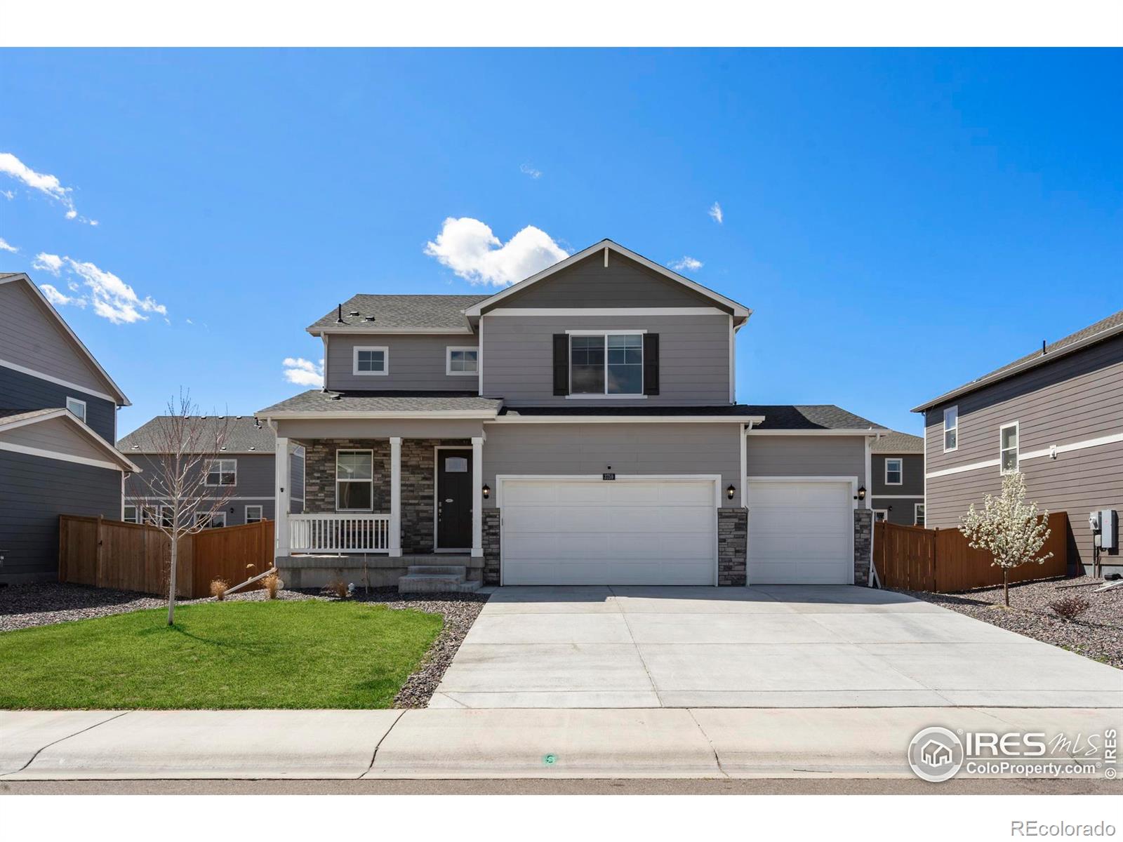 Report Image #1 for 3759  Catmint Street,Wellington, Colorado