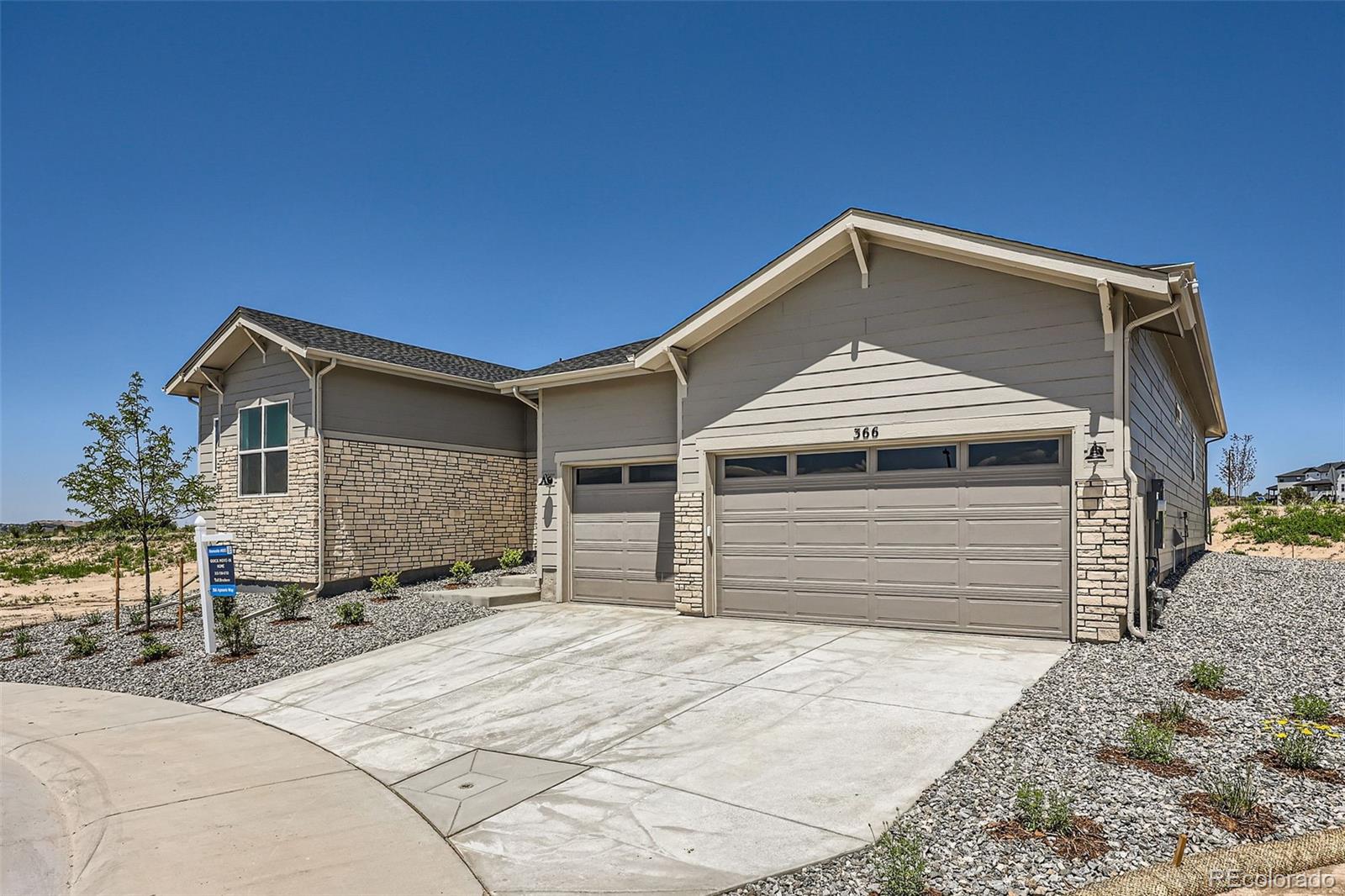 Report Image #1 for 366  Agoseris Way,Castle Rock, Colorado