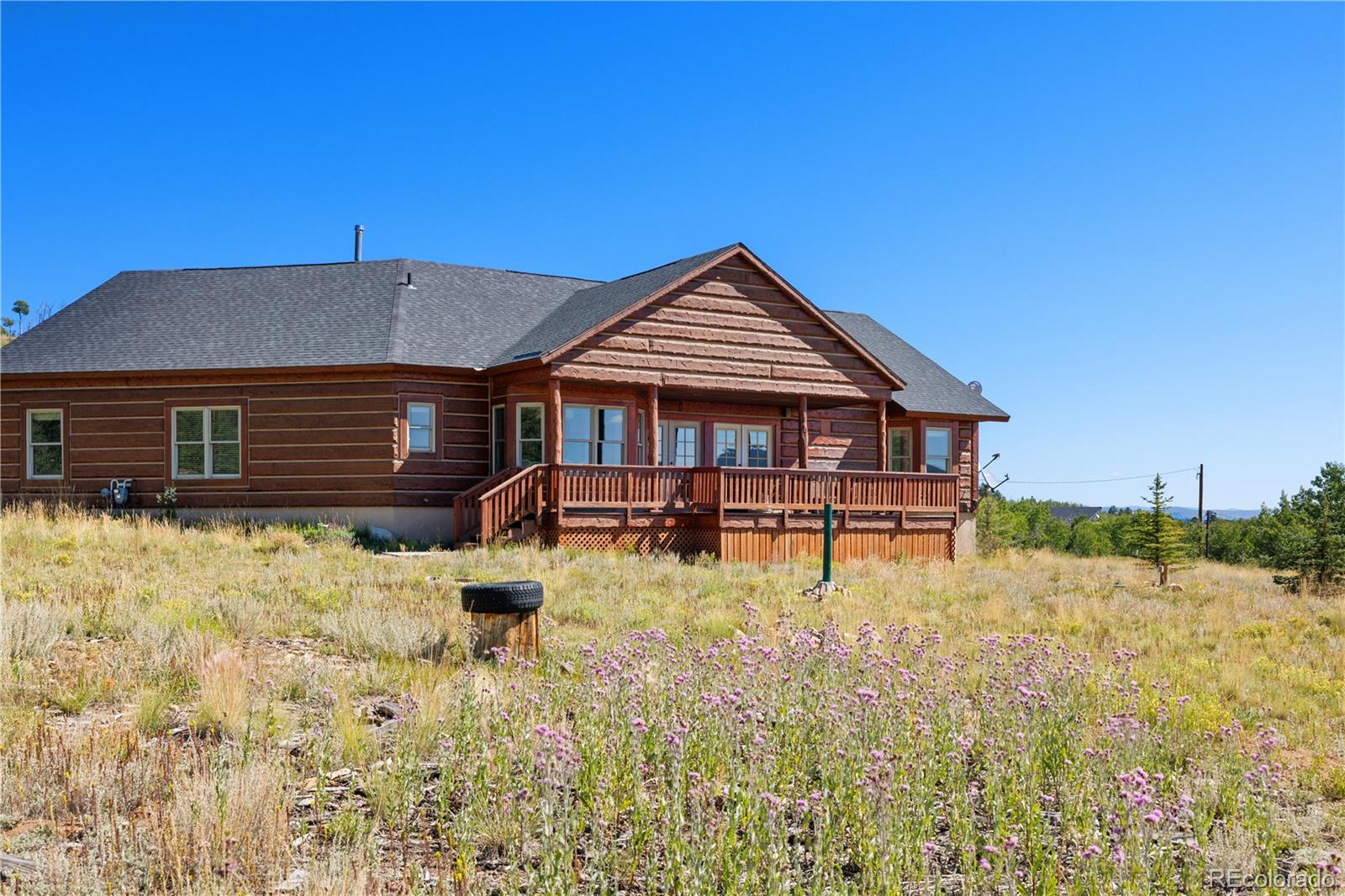 Report Image #1 for 114  Round Hill Road,Fairplay, Colorado