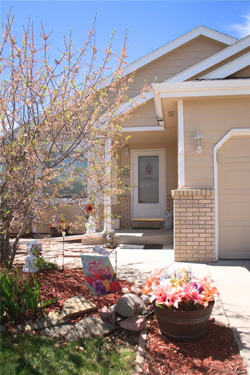 Report Image #1 for 3423  Windmill Court,Evans, Colorado