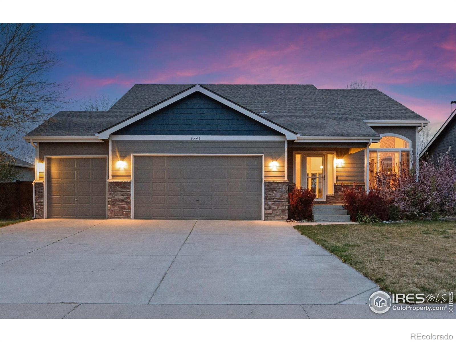 Report Image #1 for 6541  Cranesbill Street,Wellington, Colorado