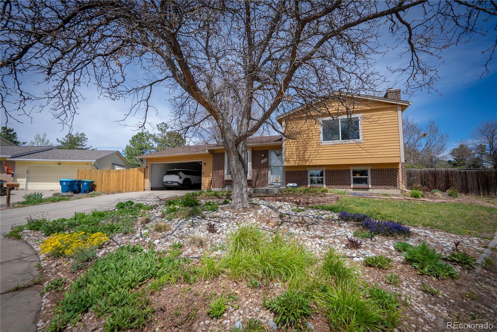 Report Image #1 for 1562  Madison Court,Louisville, Colorado