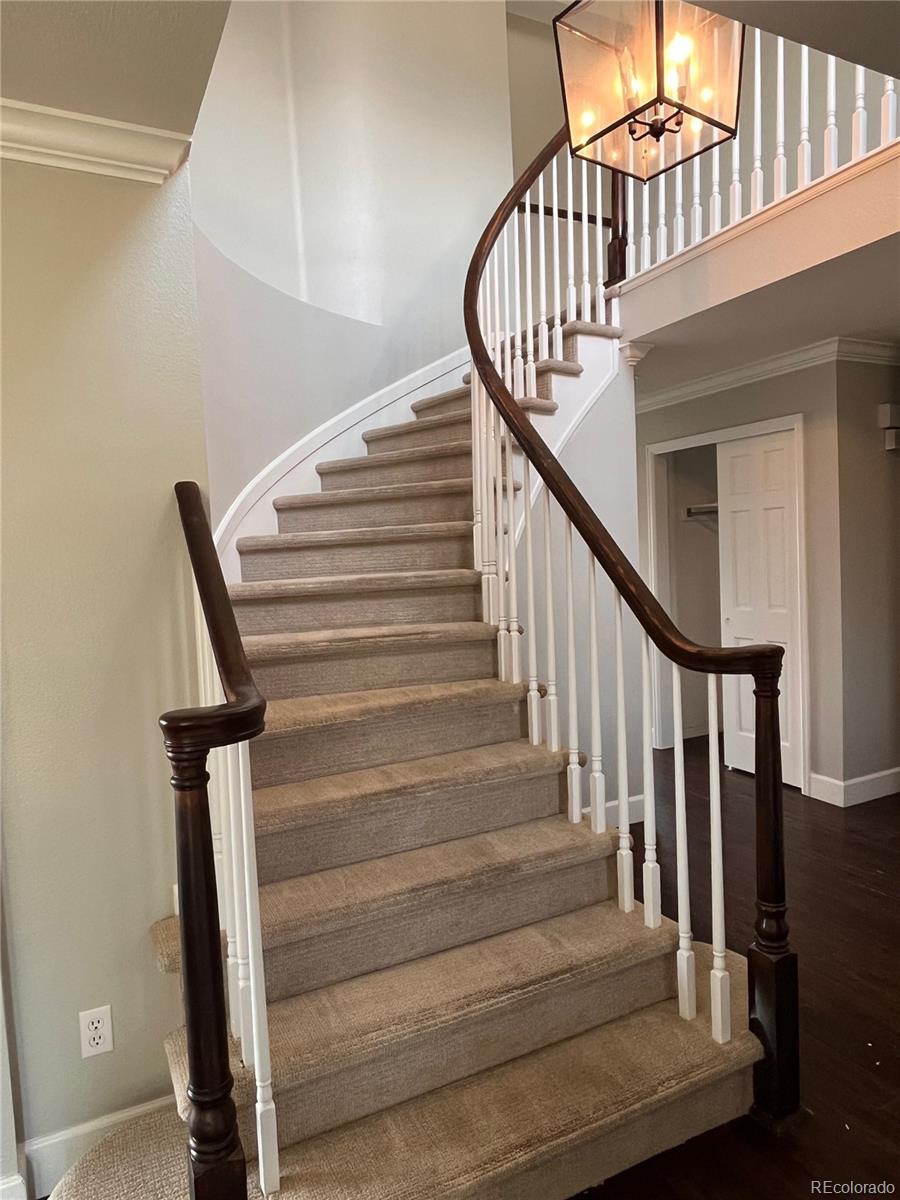 Report Image #1 for 11506  Greenbriar Lane,Parker, Colorado