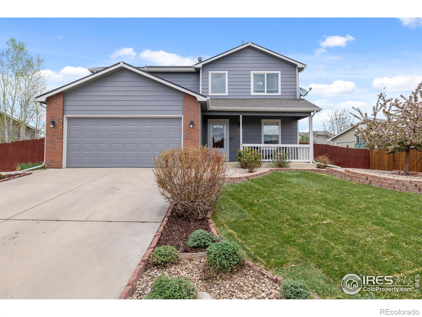 Report Image #1 for 3211  Mammoth Circle,Wellington, Colorado