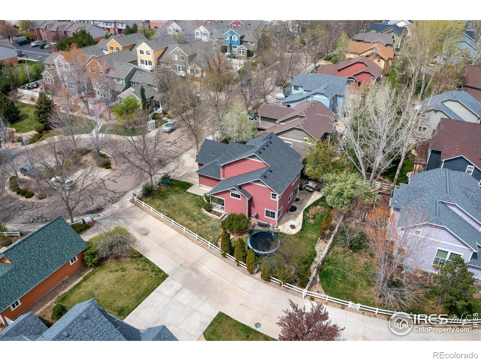 Report Image #1 for 914  Snowberry Street,Longmont, Colorado