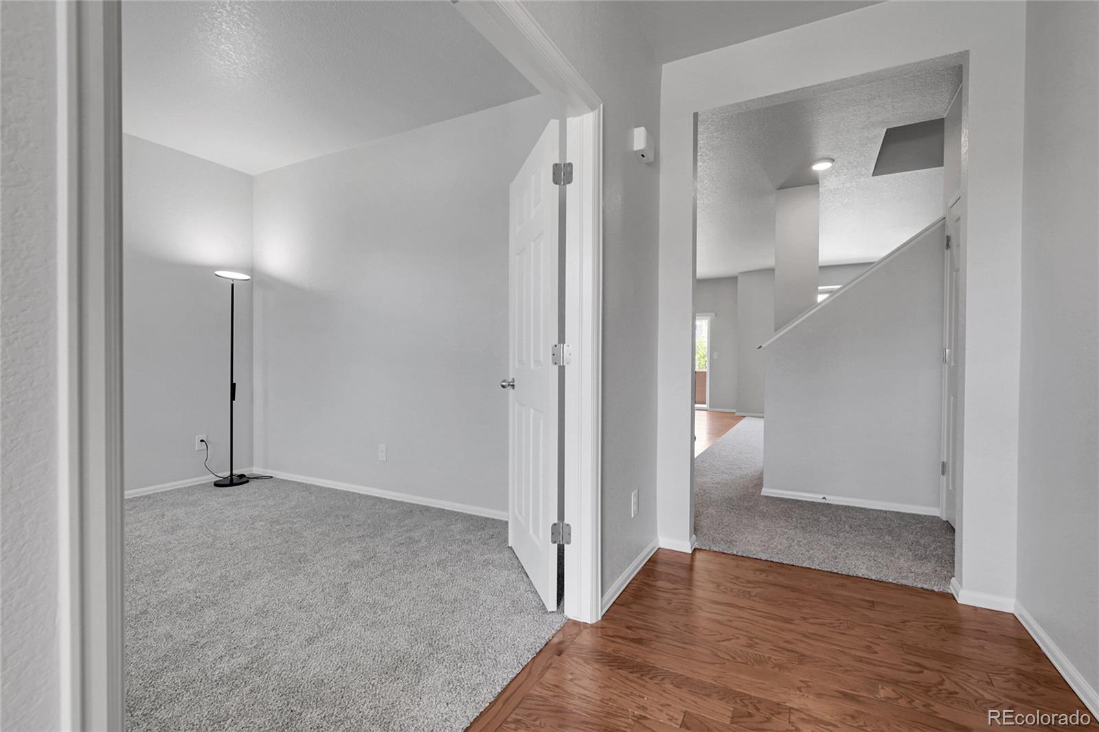 Report Image #1 for 5842  High Timber Circle,Castle Rock, Colorado
