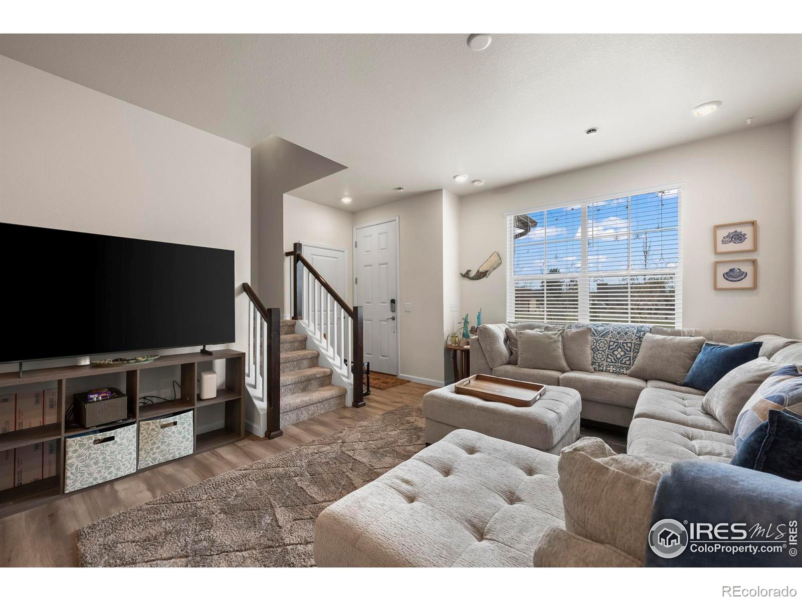 Report Image #1 for 192  Ambrose Street,Erie, Colorado