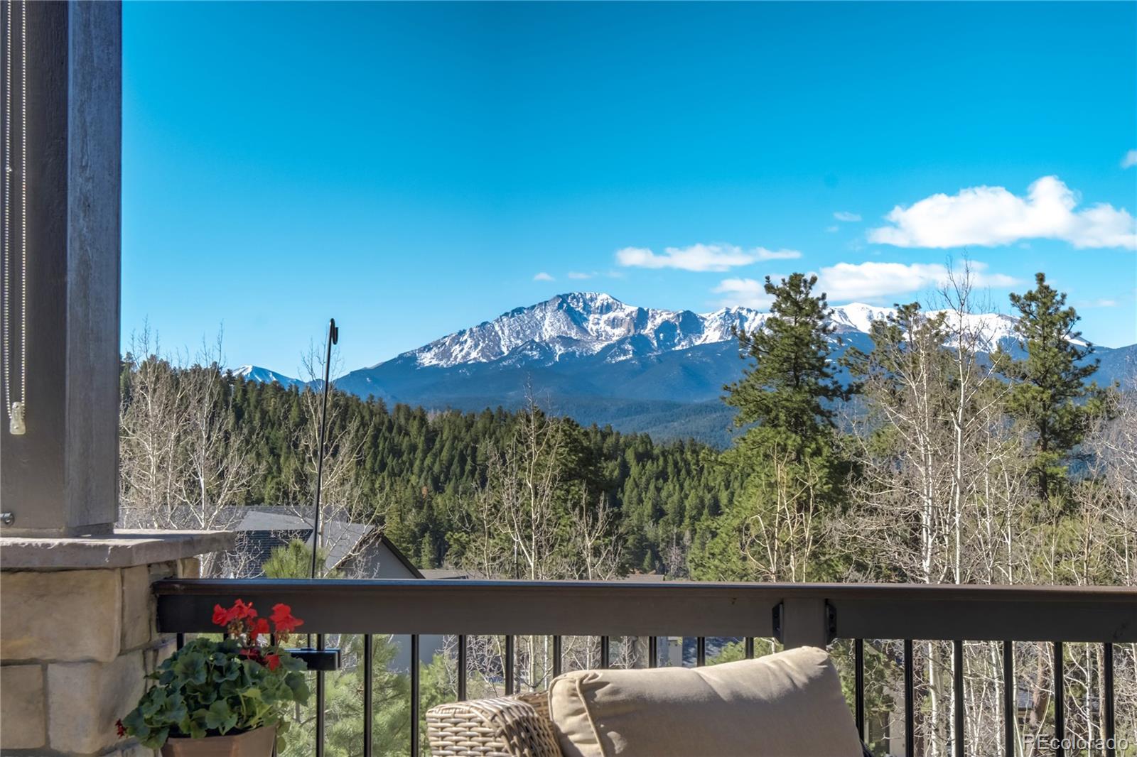 Report Image #1 for 1040  Locklin Way,Woodland Park, Colorado