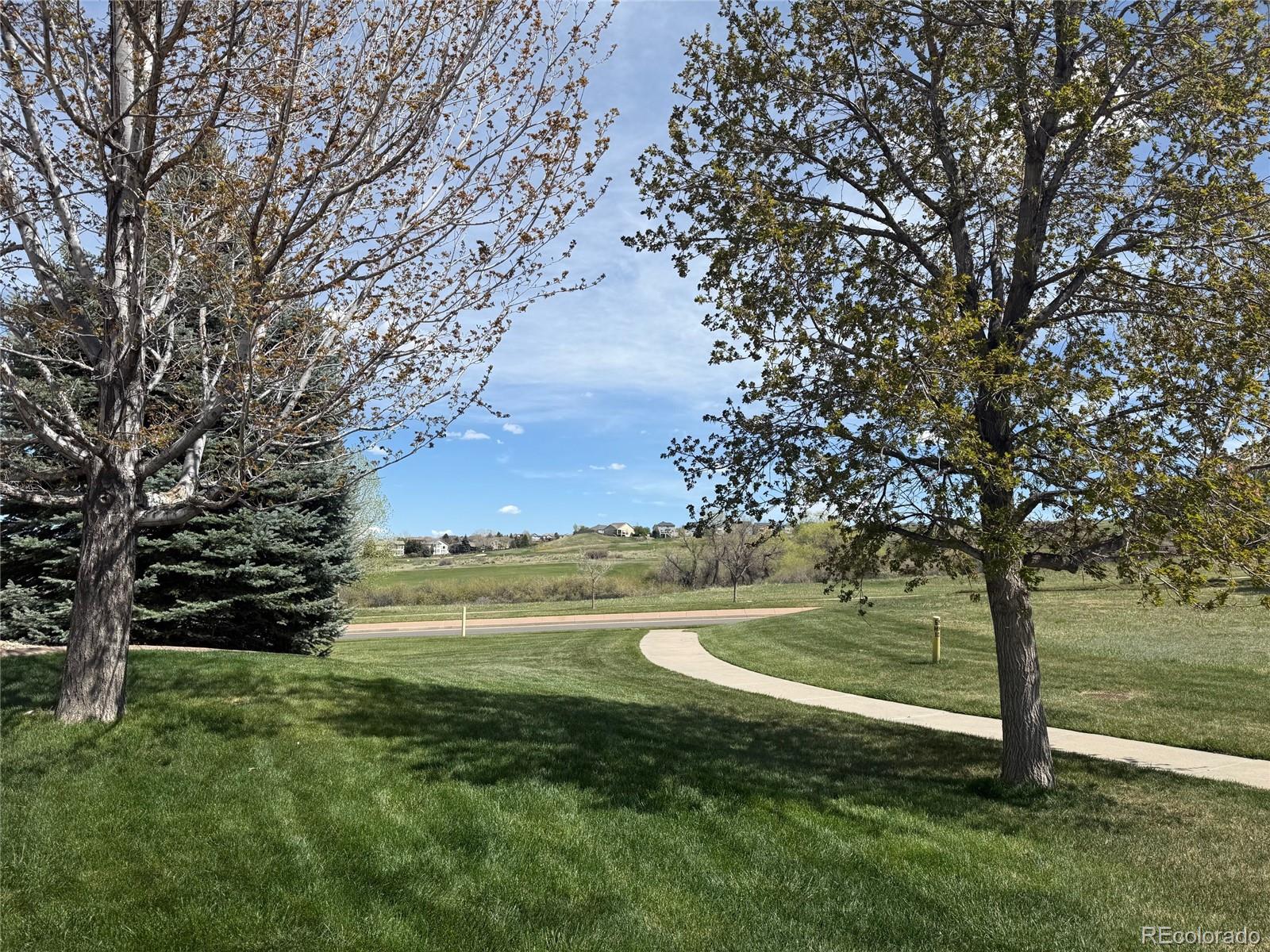 Report Image # for 22485  Laurel Oak Drive,Parker, Colorado