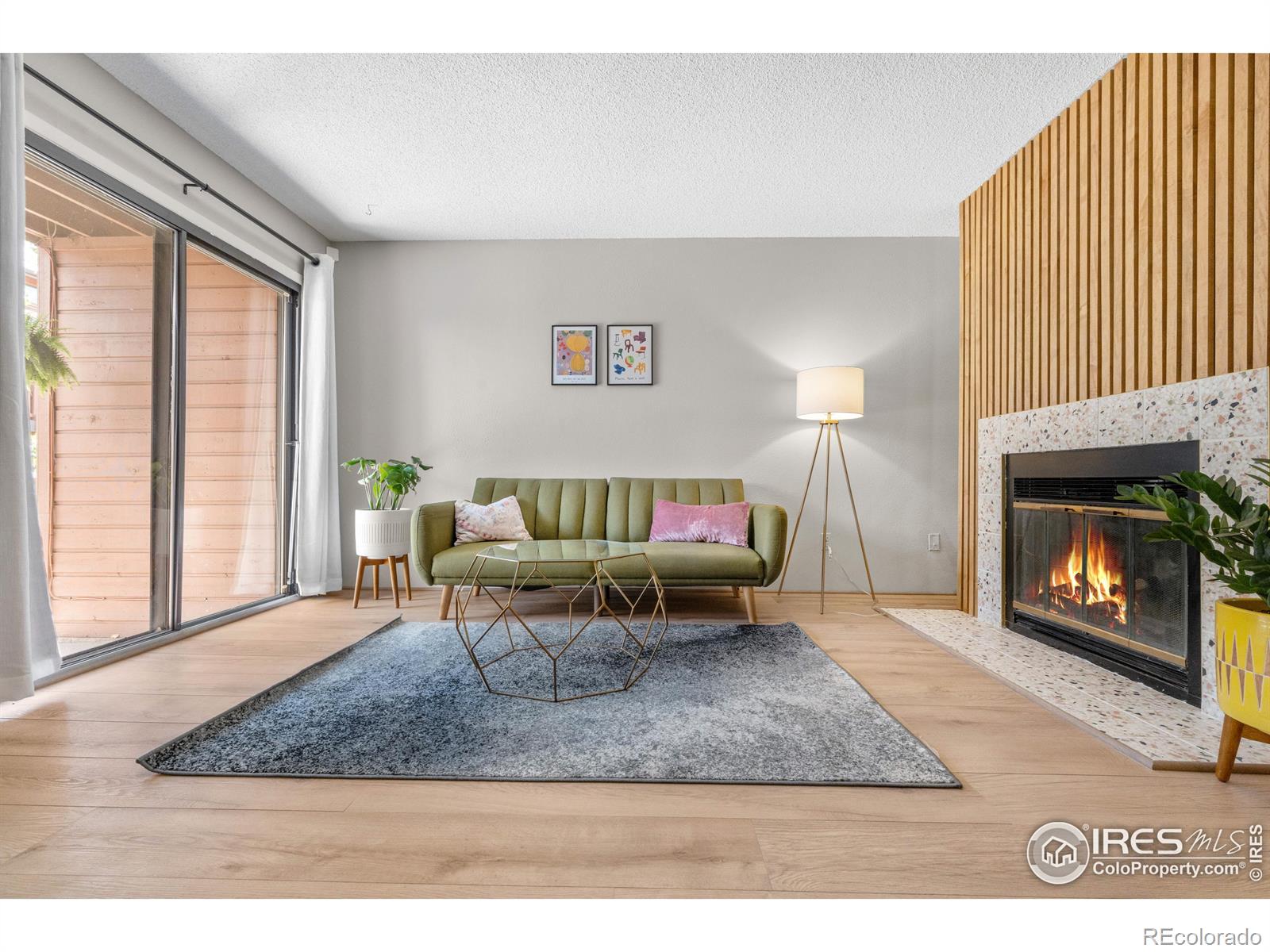 Report Image #1 for 540 S Forest Street,Denver, Colorado