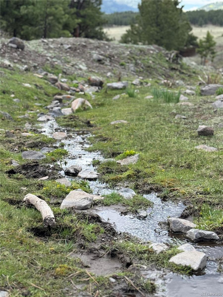 Report Image #1 for 641  Old Kathleen Trail,Guffey, Colorado