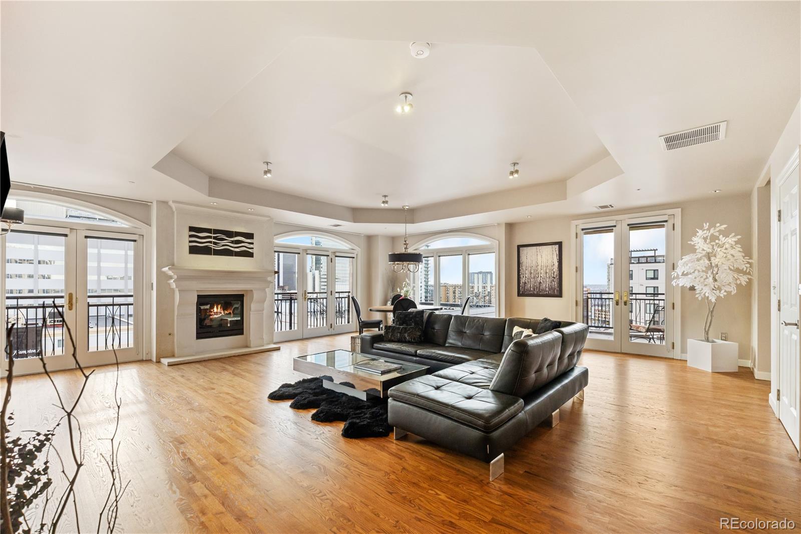 Report Image #1 for 1827 N Grant Street,Denver, Colorado