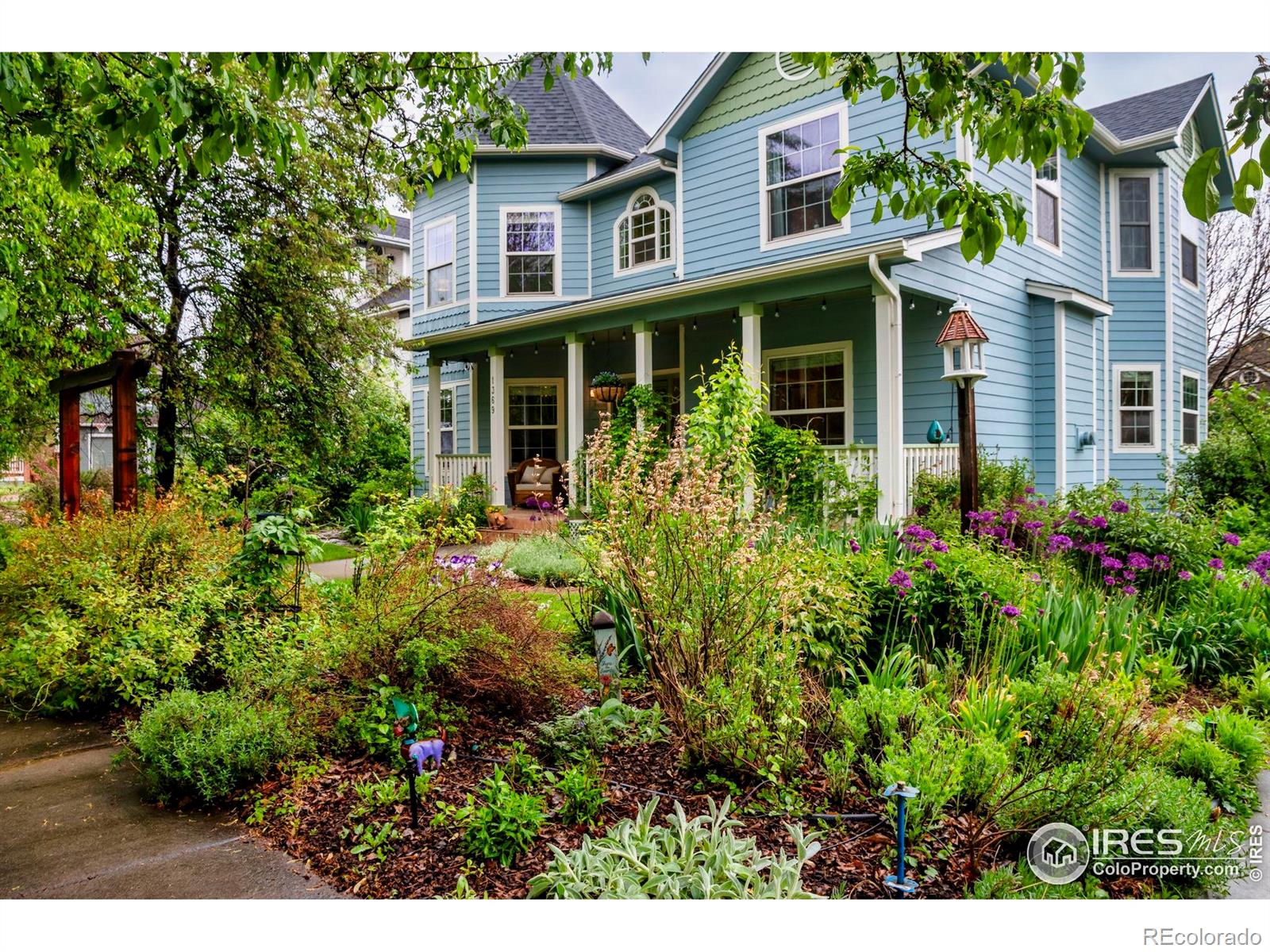 Report Image #1 for 1369  Padfield Place,Erie, Colorado